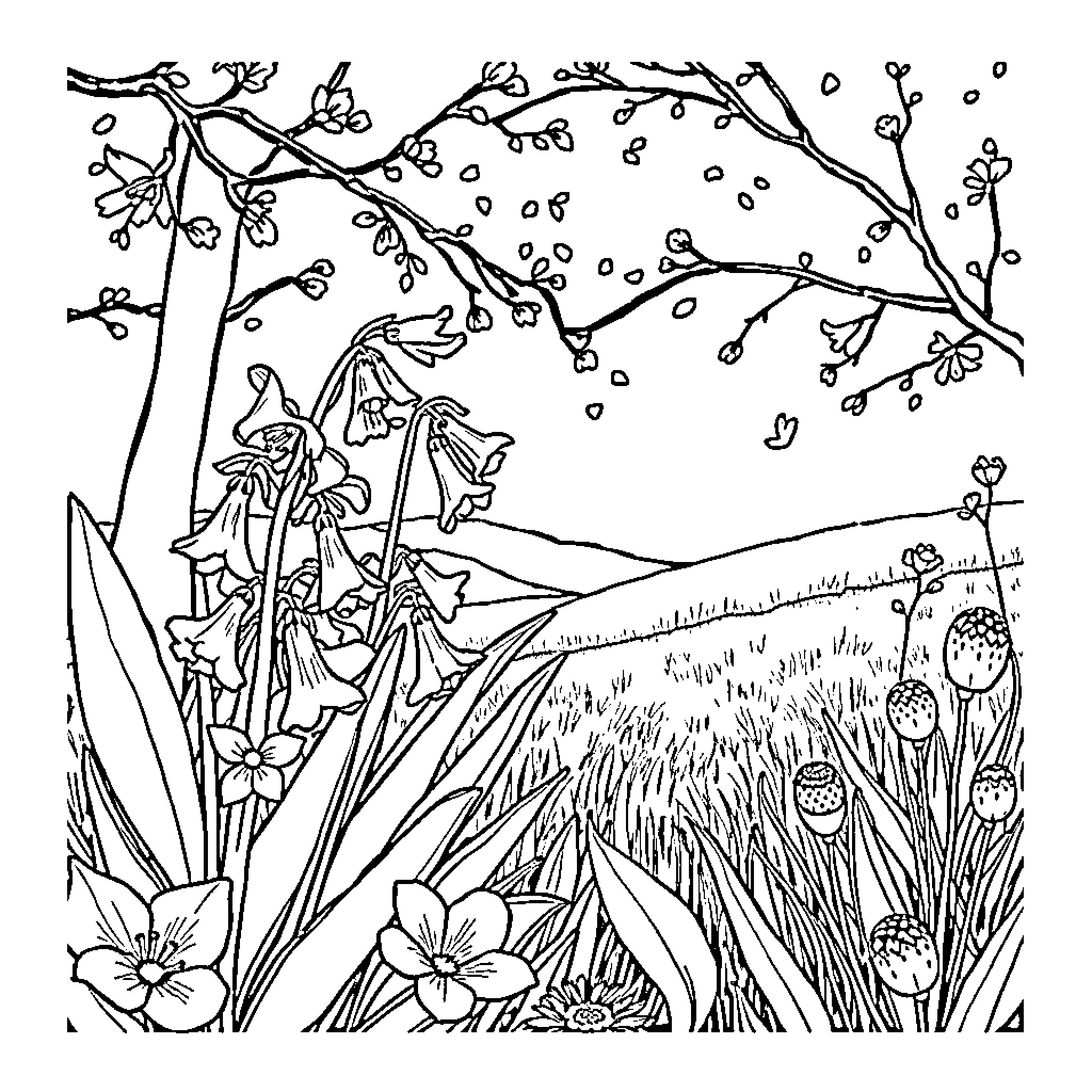 Bluebell flowers blooming in enchanting woodland setting Coloring Page (free black-and-white line drawing printable PDF for all, from beginners to advanced learners, including children, teens, adults, and seniors)