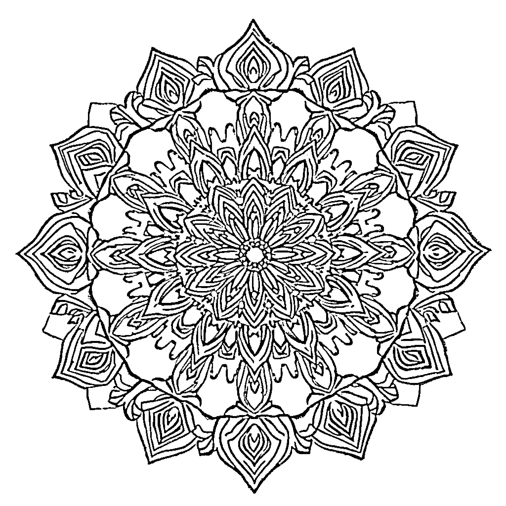 Mandala with intricate floral patterns Coloring Page (free black-and-white line drawing printable PDF for all, from beginners to advanced learners, including children, teens, adults, and seniors)