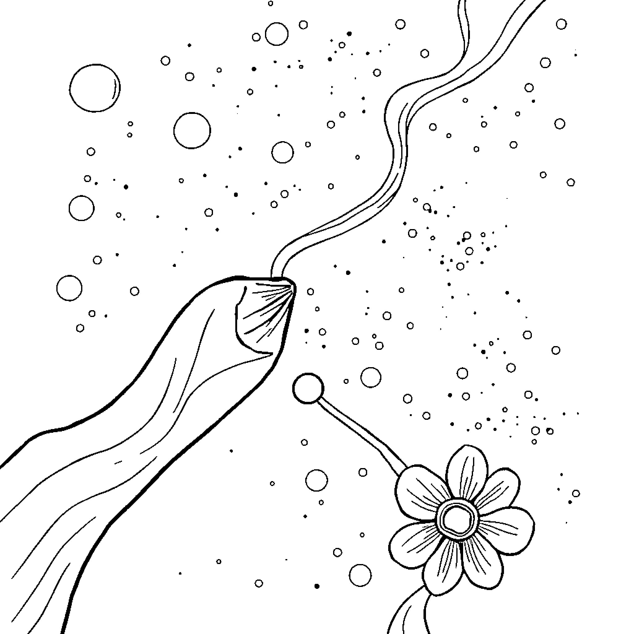 Connect the Dots: Aquatic Blooms and Petals Coloring Page (free black-and-white line drawing printable PDF for all, from beginners to advanced learners, including children, teens, adults, and seniors)