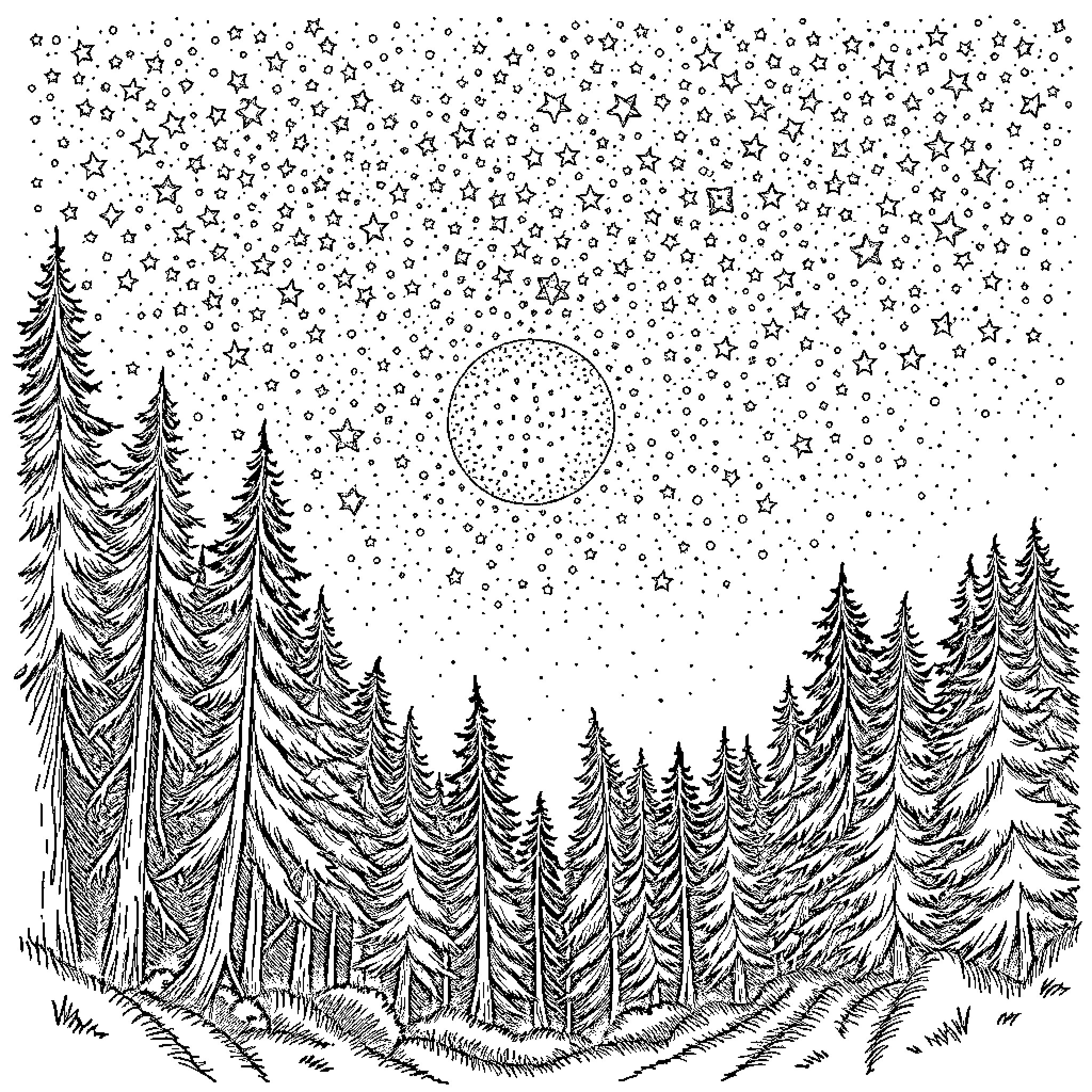 Night Scene with Starry Sky and Snowy Forest Coloring Page (free black-and-white line drawing printable PDF for all, from beginners to advanced learners, including children, teens, adults, and seniors)