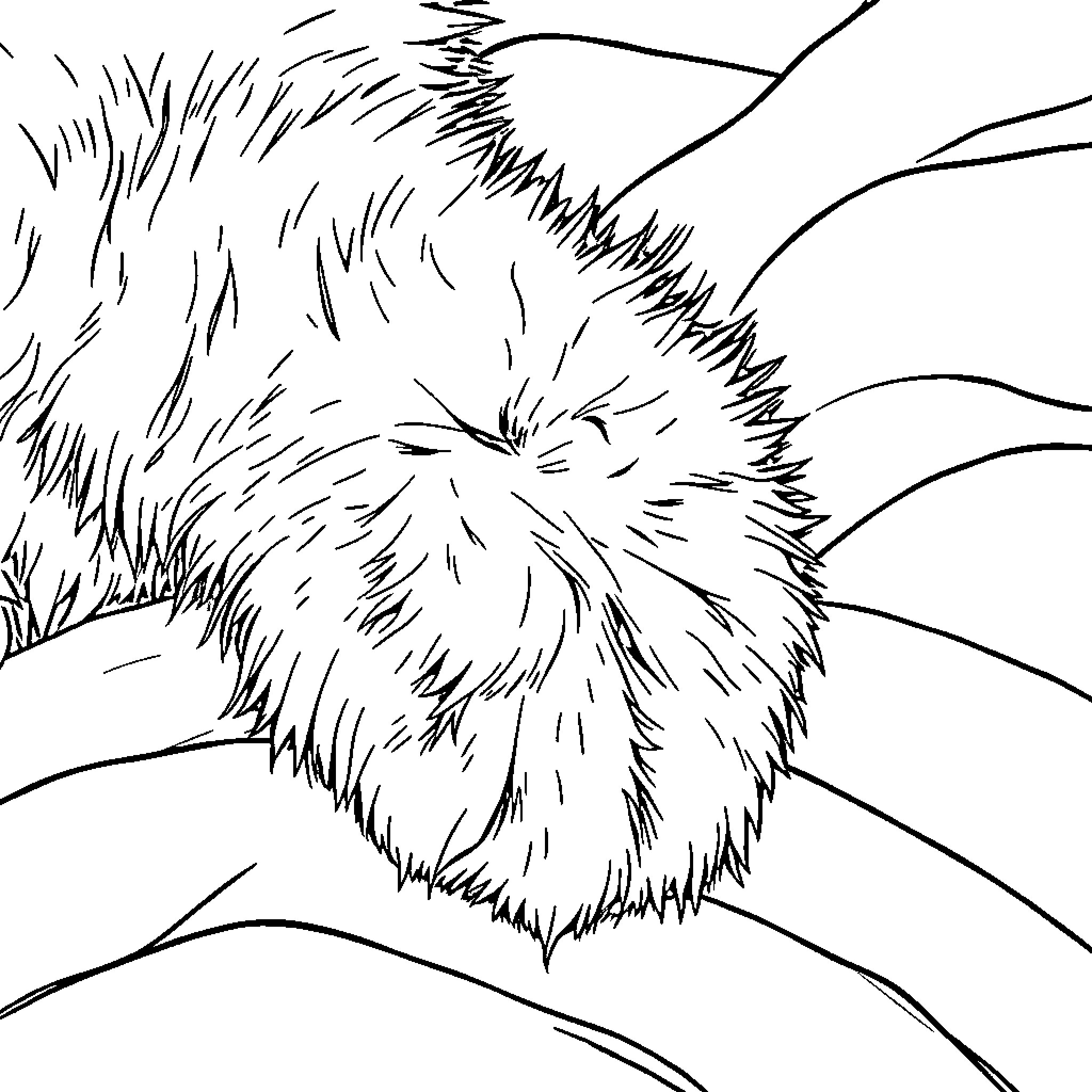 Cat Paw Sketch Abstract Design Coloring Page (free black-and-white line drawing printable PDF for all, from beginners to advanced learners, including children, teens, adults, and seniors)