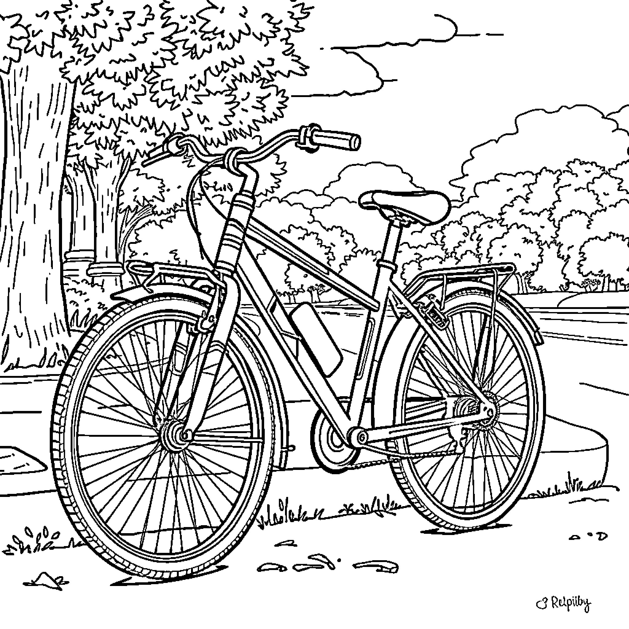 Bicycles parked in a serene park setting Coloring Page (free black-and-white line drawing printable PDF for all, from beginners to advanced learners, including children, teens, adults, and seniors)