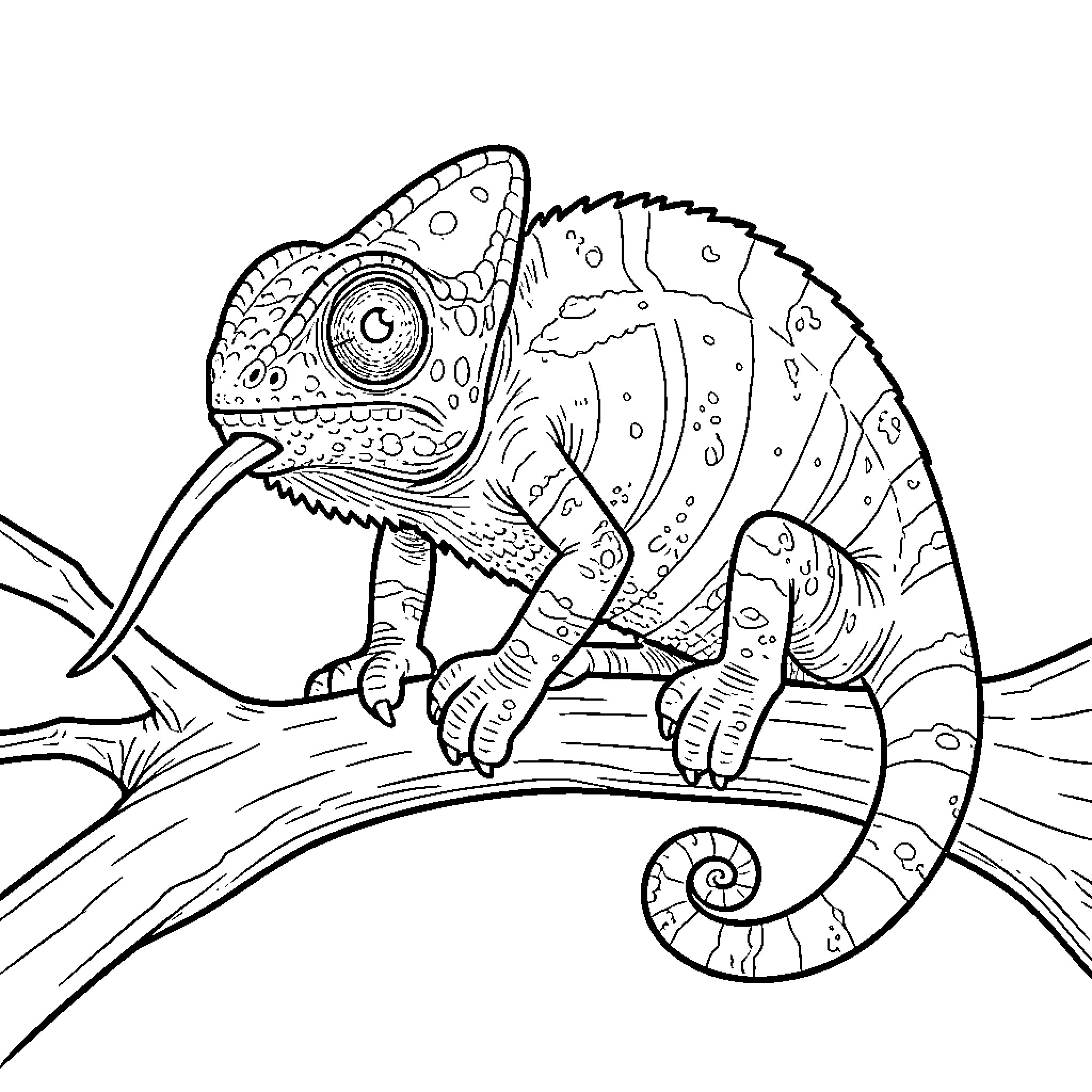 Chameleon exploring its surroundings Coloring Page (free black-and-white line drawing printable PDF for all, from beginners to advanced learners, including children, teens, adults, and seniors)