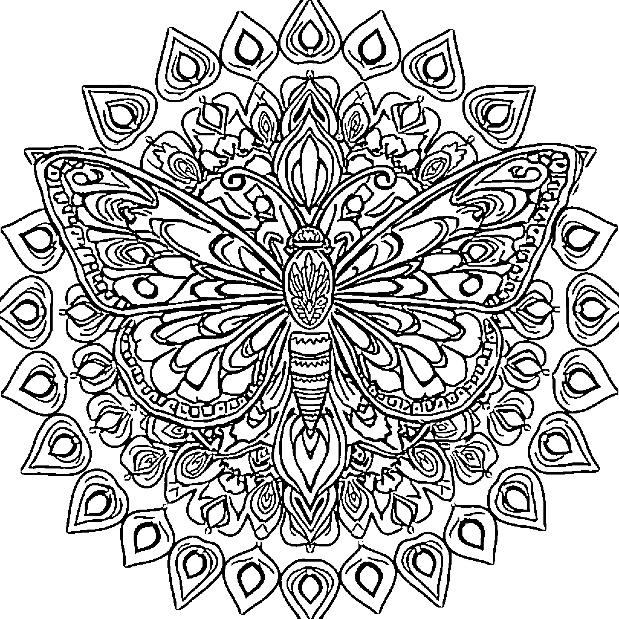 Moth with intricate mandala pattern Coloring Page (free black-and-white line drawing printable PDF for all, from beginners to advanced learners, including children, teens, adults, and seniors)