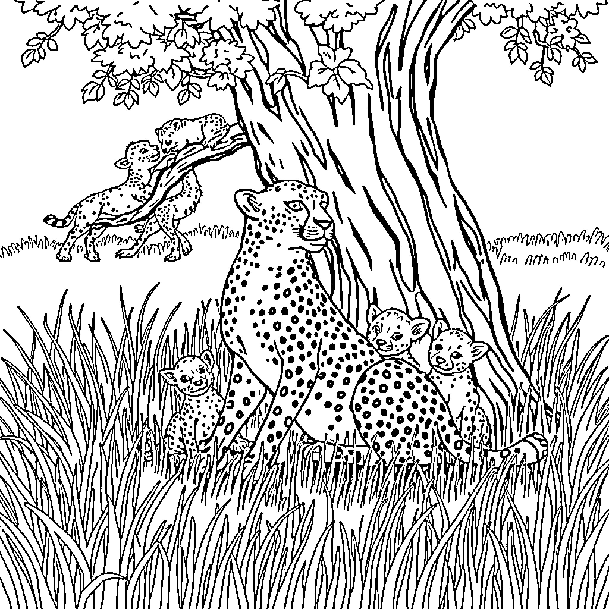 Cheetah guarding her cubs in the wild Coloring Page (free black-and-white line drawing printable PDF for all, from beginners to advanced learners, including children, teens, adults, and seniors)