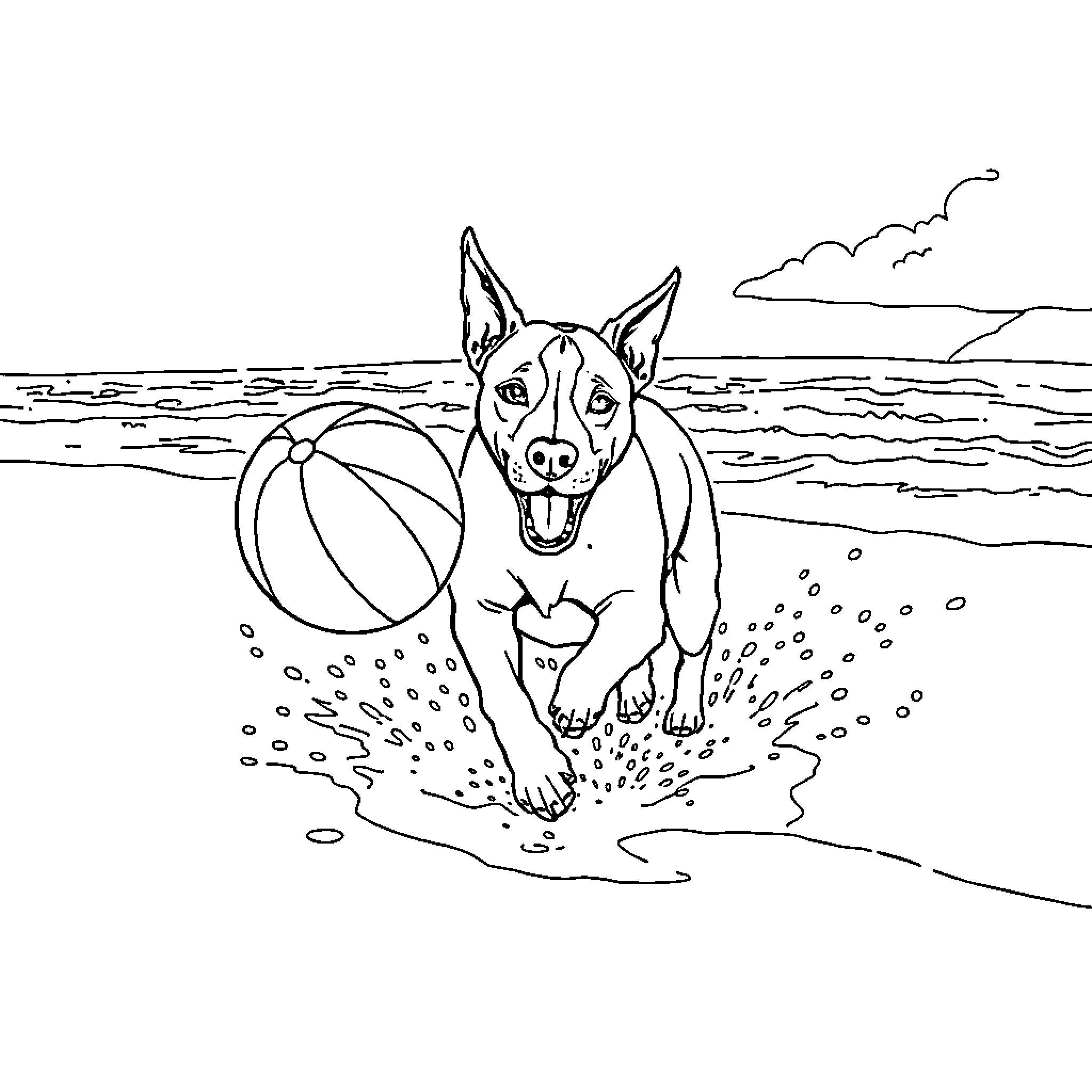 Dogo Argentino playing joyfully at the beach Coloring Page (free black-and-white line drawing printable PDF for all, from beginners to advanced learners, including children, teens, adults, and seniors)