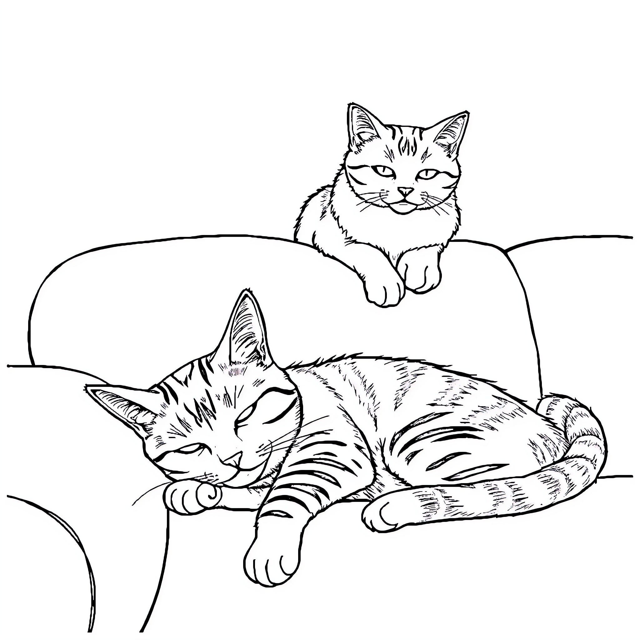 Cats relaxing on a couch Coloring Page (free black-and-white line drawing printable PDF for all, from beginners to advanced learners, including children, teens, adults, and seniors)