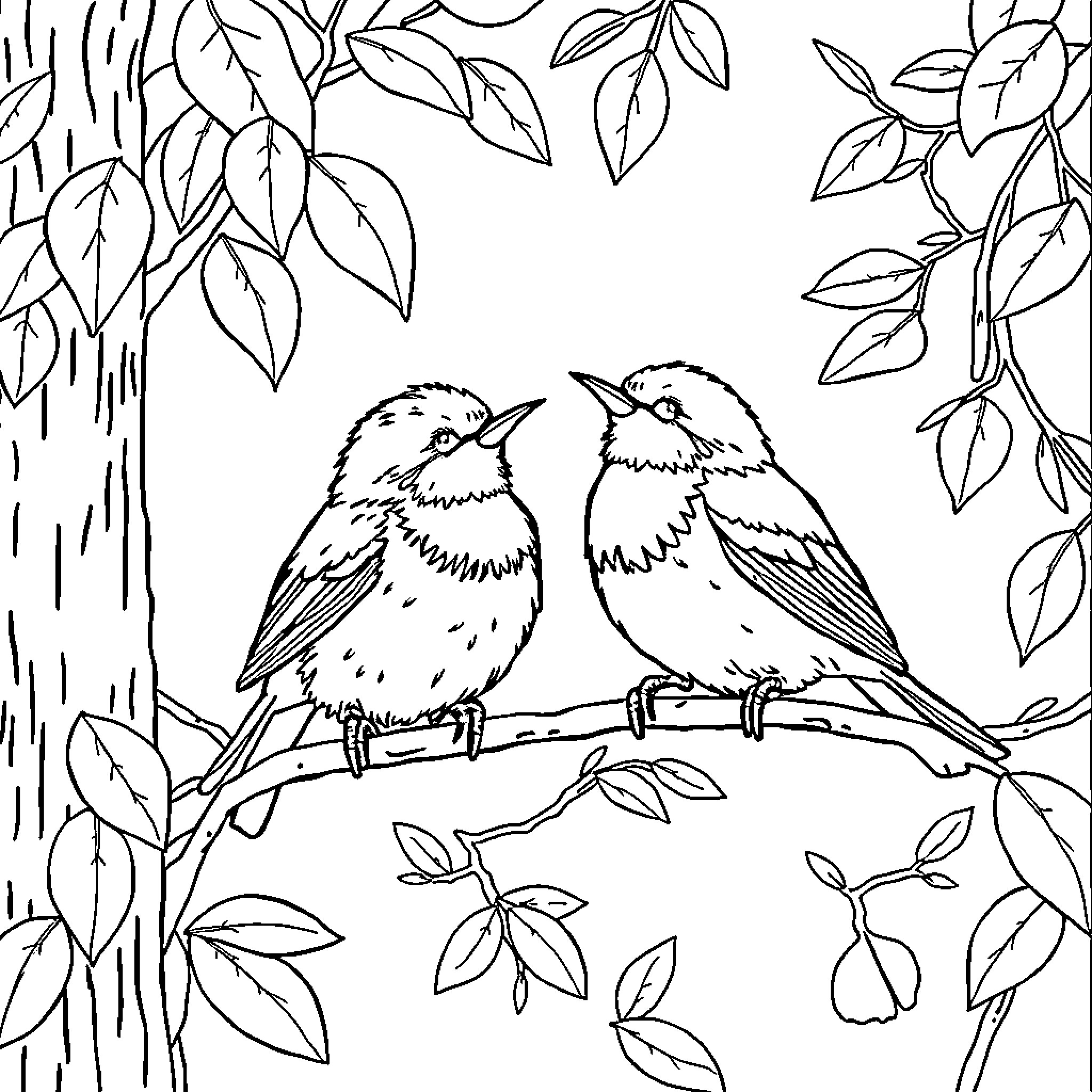 Tiny Birds Perched on Tree Branch Coloring Page (free black-and-white line drawing printable PDF for all, from beginners to advanced learners, including children, teens, adults, and seniors)