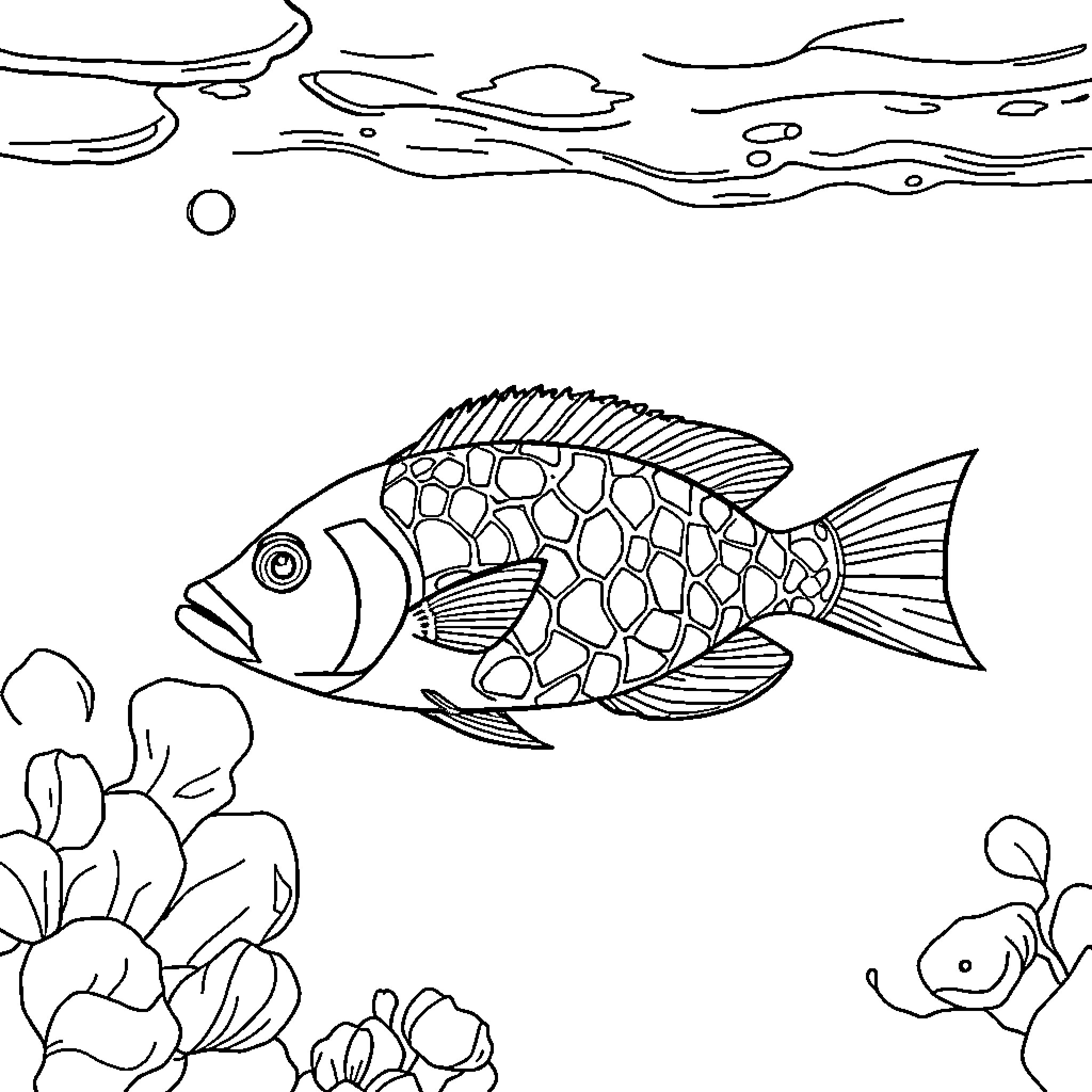 Fish swimming in the ocean Coloring Page (free black-and-white line drawing printable PDF for all, from beginners to advanced learners, including children, teens, adults, and seniors)