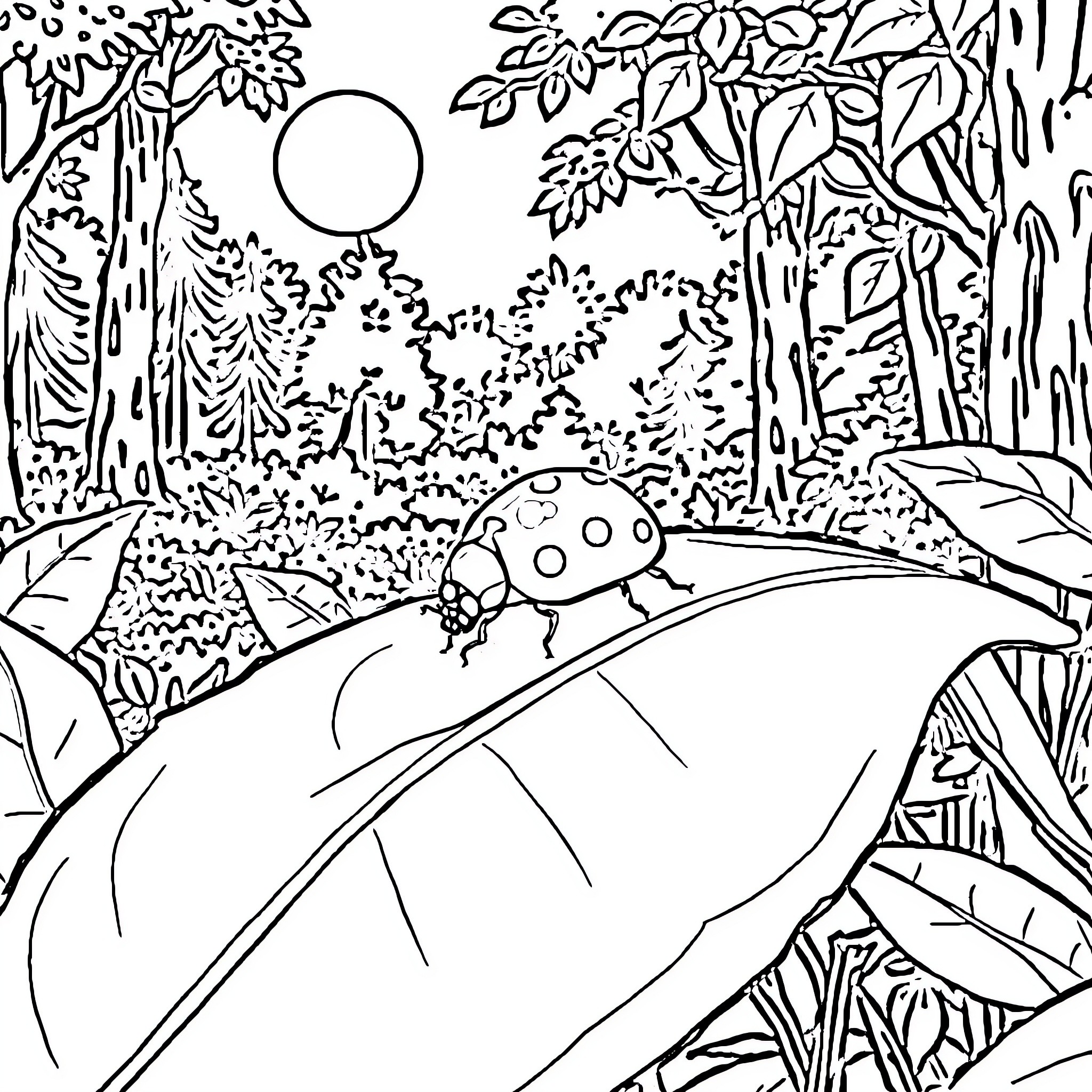 Ladybug exploring the enchanted forest Coloring Page (free black-and-white line drawing printable PDF for all, from beginners to advanced learners, including children, teens, adults, and seniors)