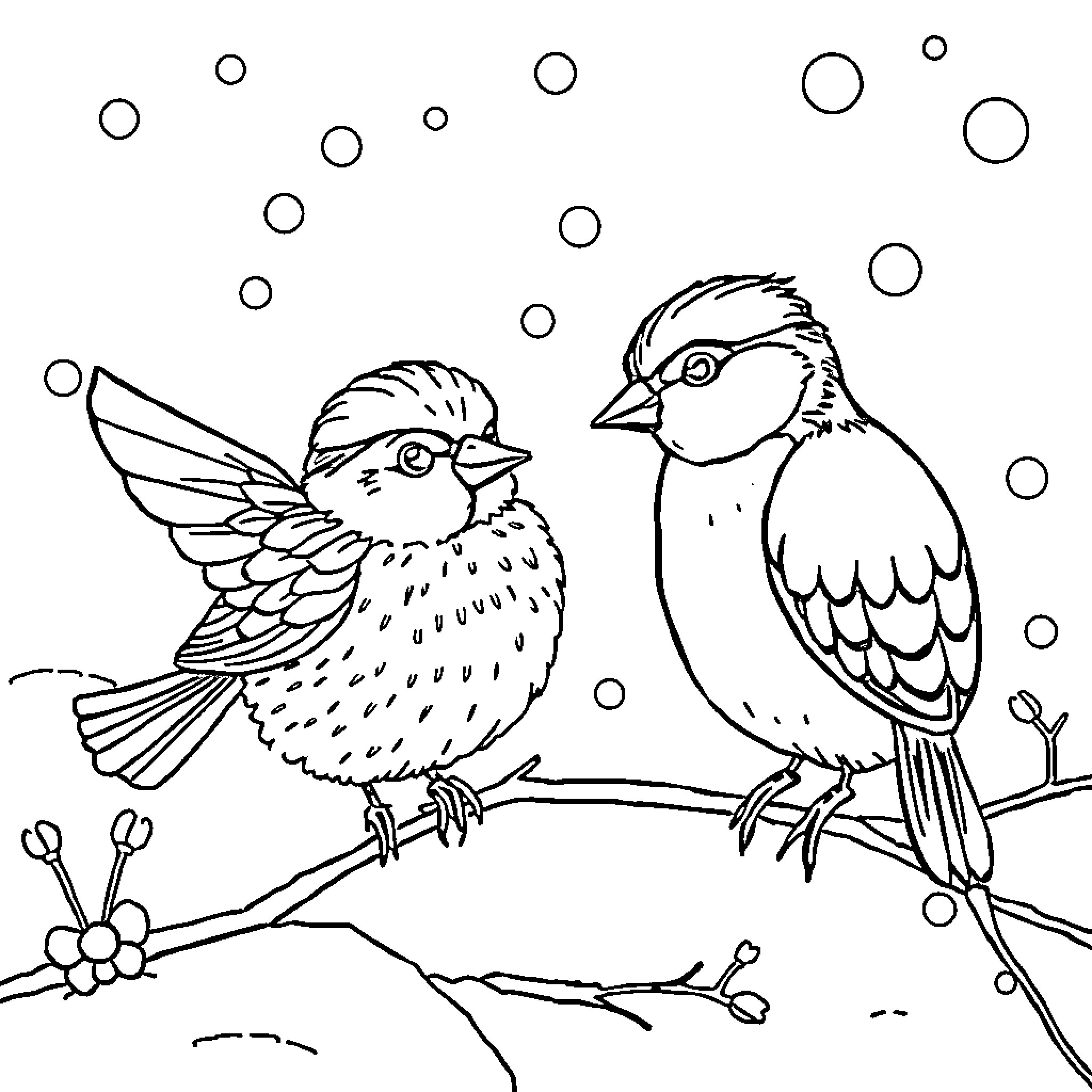 Fuchs birds enjoying the winter scene Coloring Page (free black-and-white line drawing printable PDF for all, from beginners to advanced learners, including children, teens, adults, and seniors)