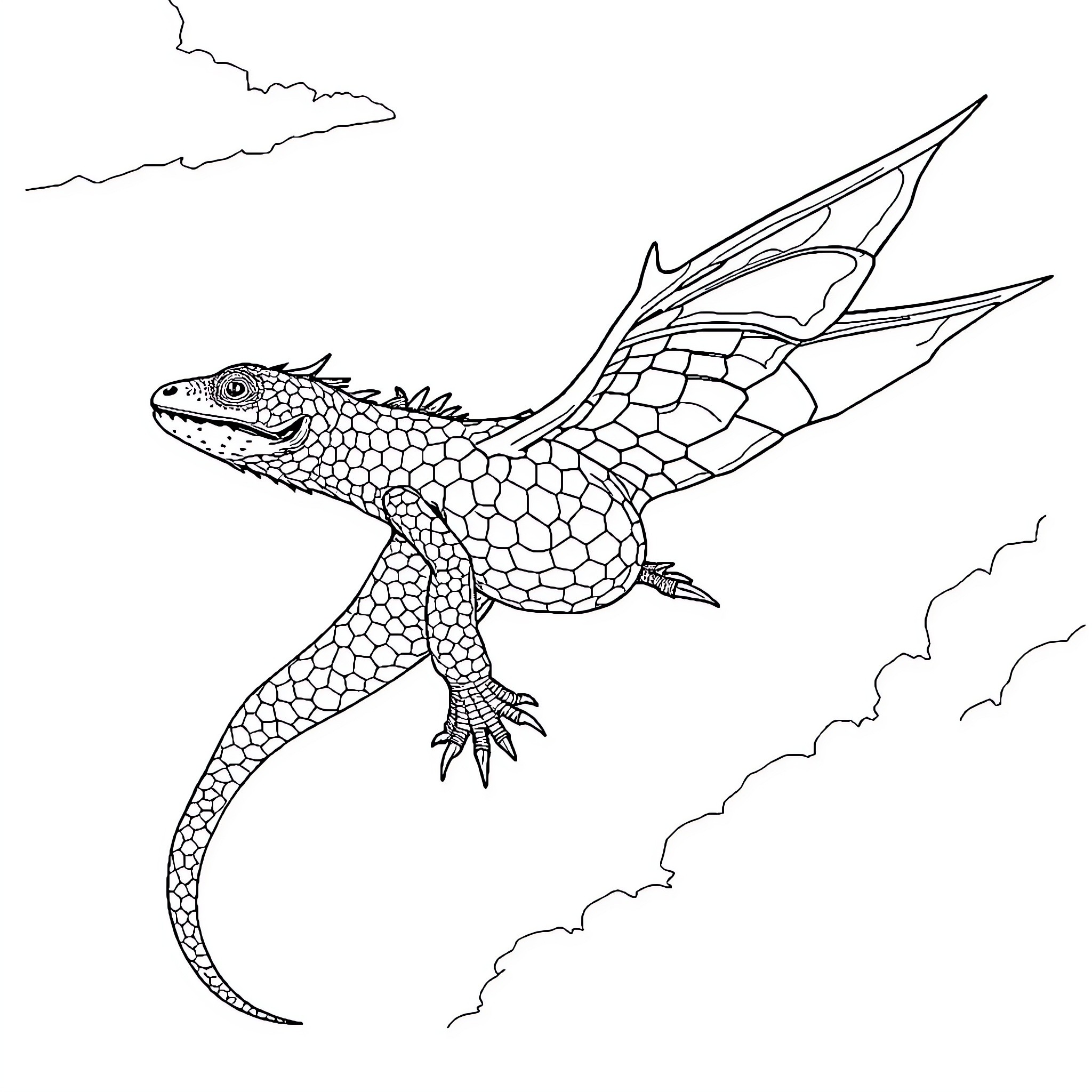 Lizard soaring through the clouds Coloring Page (free black-and-white line drawing printable PDF for all, from beginners to advanced learners, including children, teens, adults, and seniors)