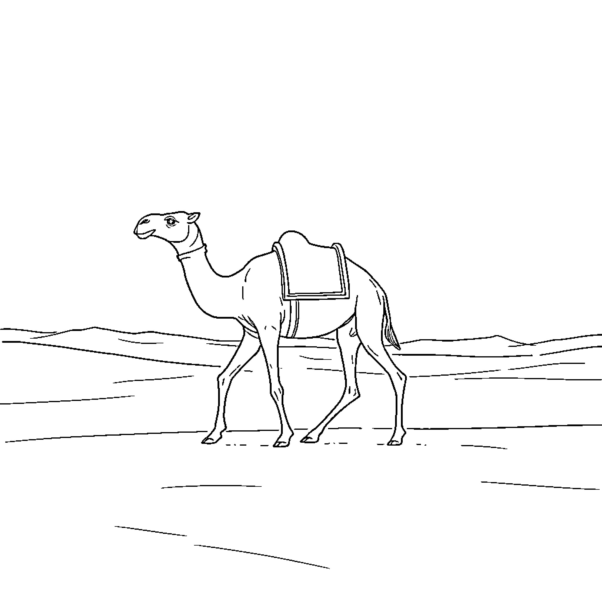 Camel walking in the desert landscape Coloring Page (free black-and-white line drawing printable PDF for all, from beginners to advanced learners, including children, teens, adults, and seniors)