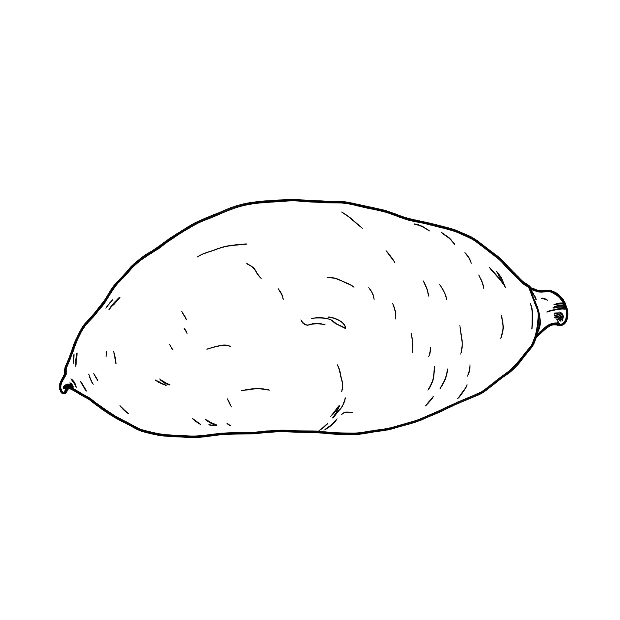 6 Best Sweet Potato Coloring Pages (Free Printable PDFs)