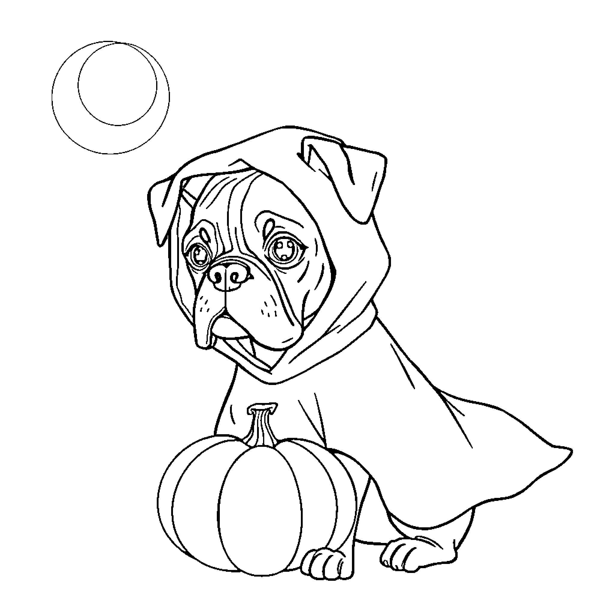 Boxer dog in Halloween costume with pumpkin Coloring Page (free black-and-white line drawing printable PDF for all, from beginners to advanced learners, including children, teens, adults, and seniors)