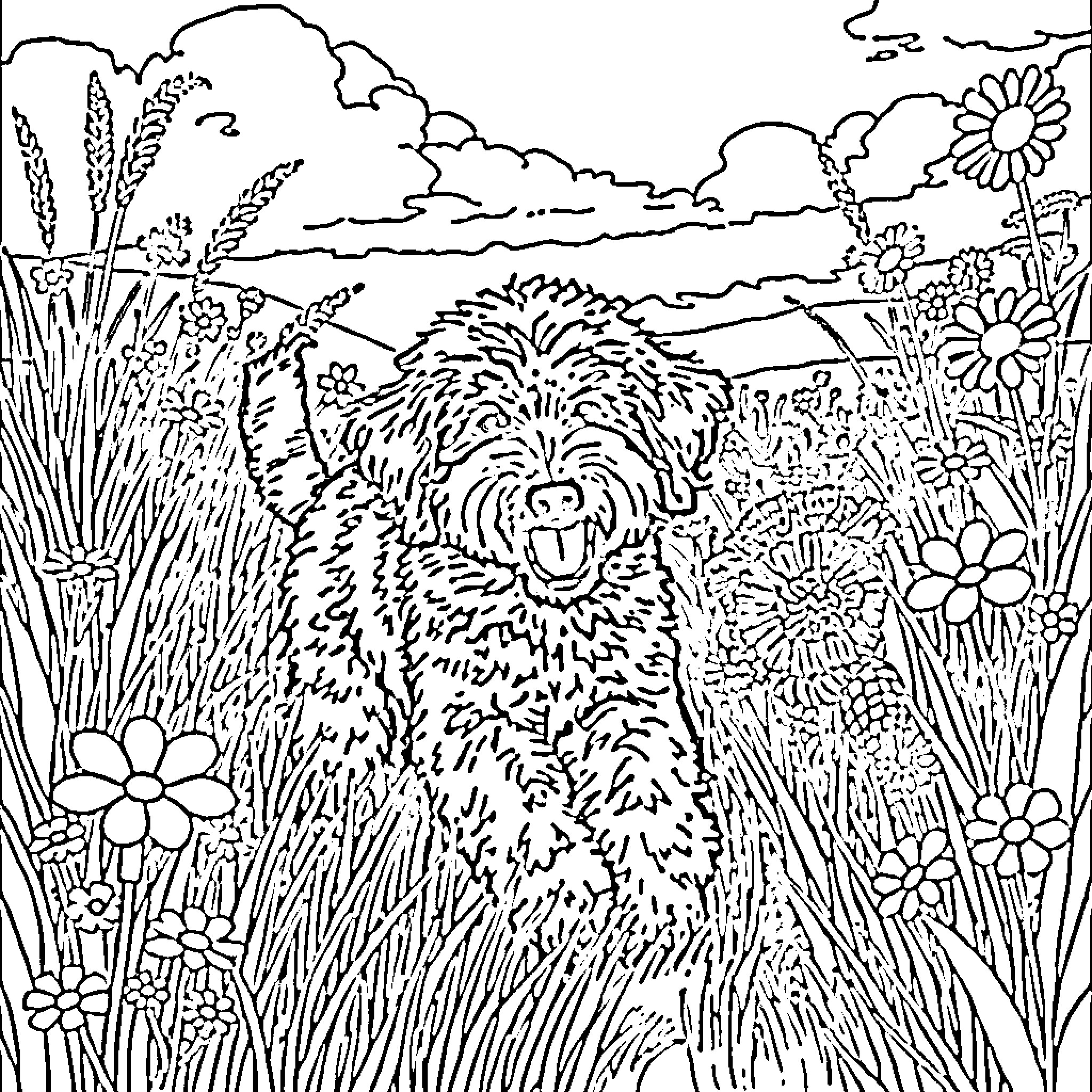 Labradoodle frolicking in a vibrant floral meadow Coloring Page (free black-and-white line drawing printable PDF for all, from beginners to advanced learners, including children, teens, adults, and seniors)
