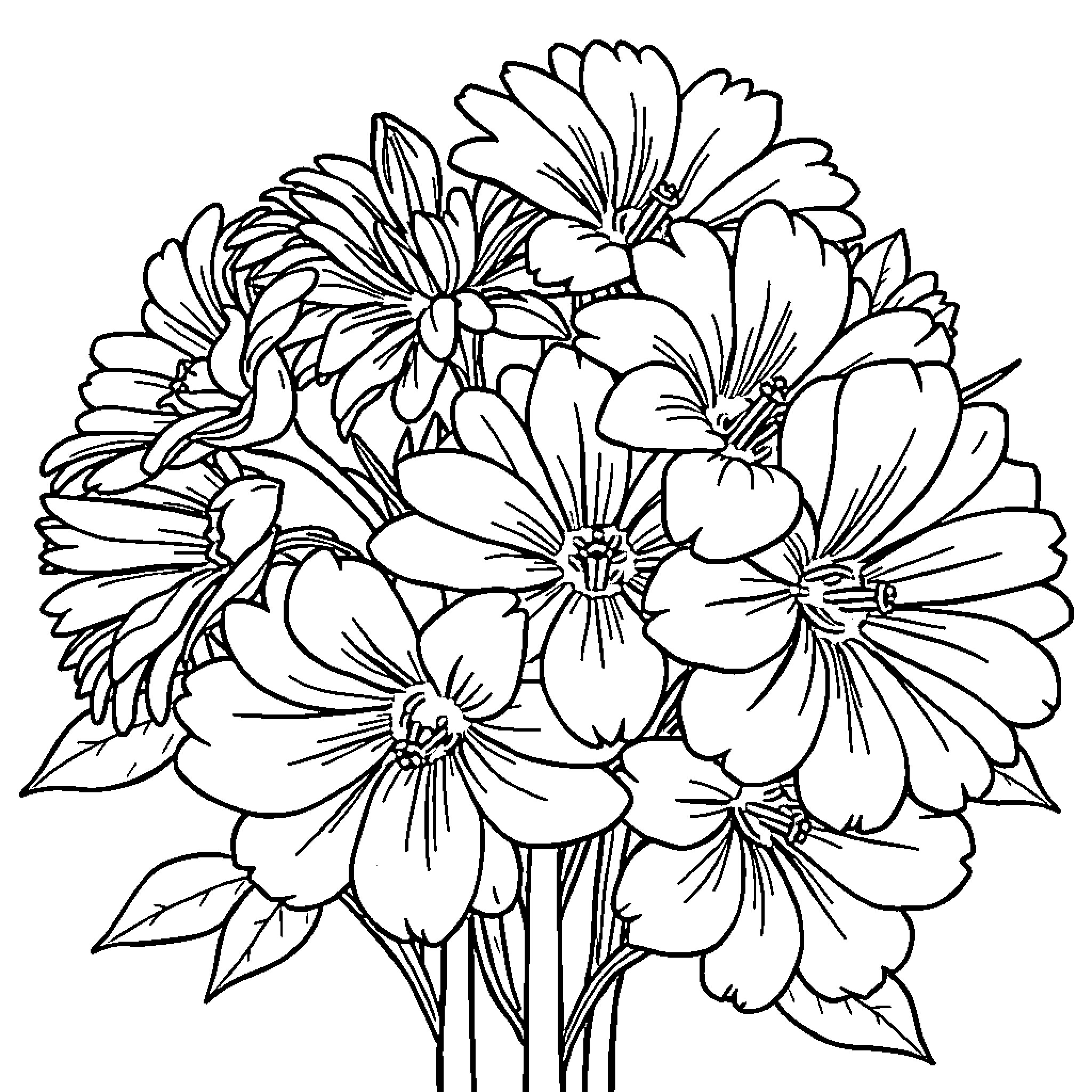 Margarita's vibrant floral arrangement Coloring Page (free black-and-white line drawing printable PDF for all, from beginners to advanced learners, including children, teens, adults, and seniors)