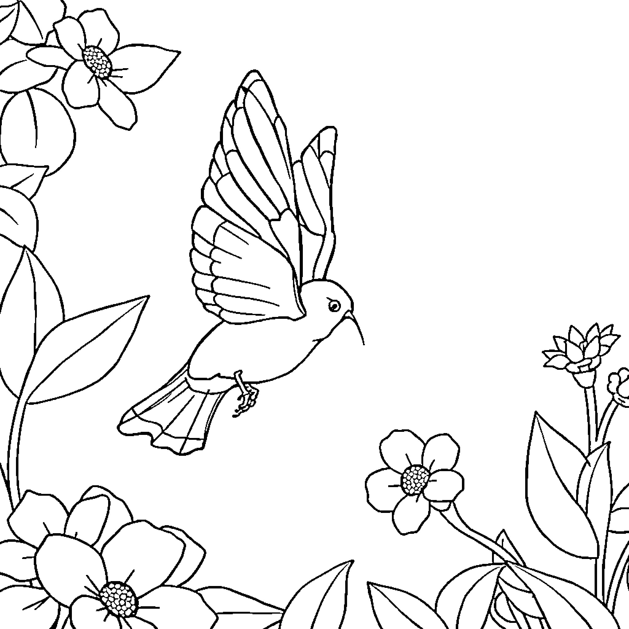 Butterfly hovering among vibrant flowers Coloring Page (free black-and-white line drawing printable PDF for all, from beginners to advanced learners, including children, teens, adults, and seniors)