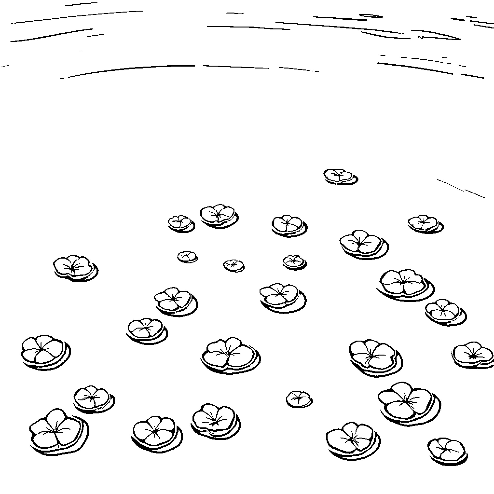 Duckweed floating on the water surface Coloring Page (free black-and-white line drawing printable PDF for all, from beginners to advanced learners, including children, teens, adults, and seniors)