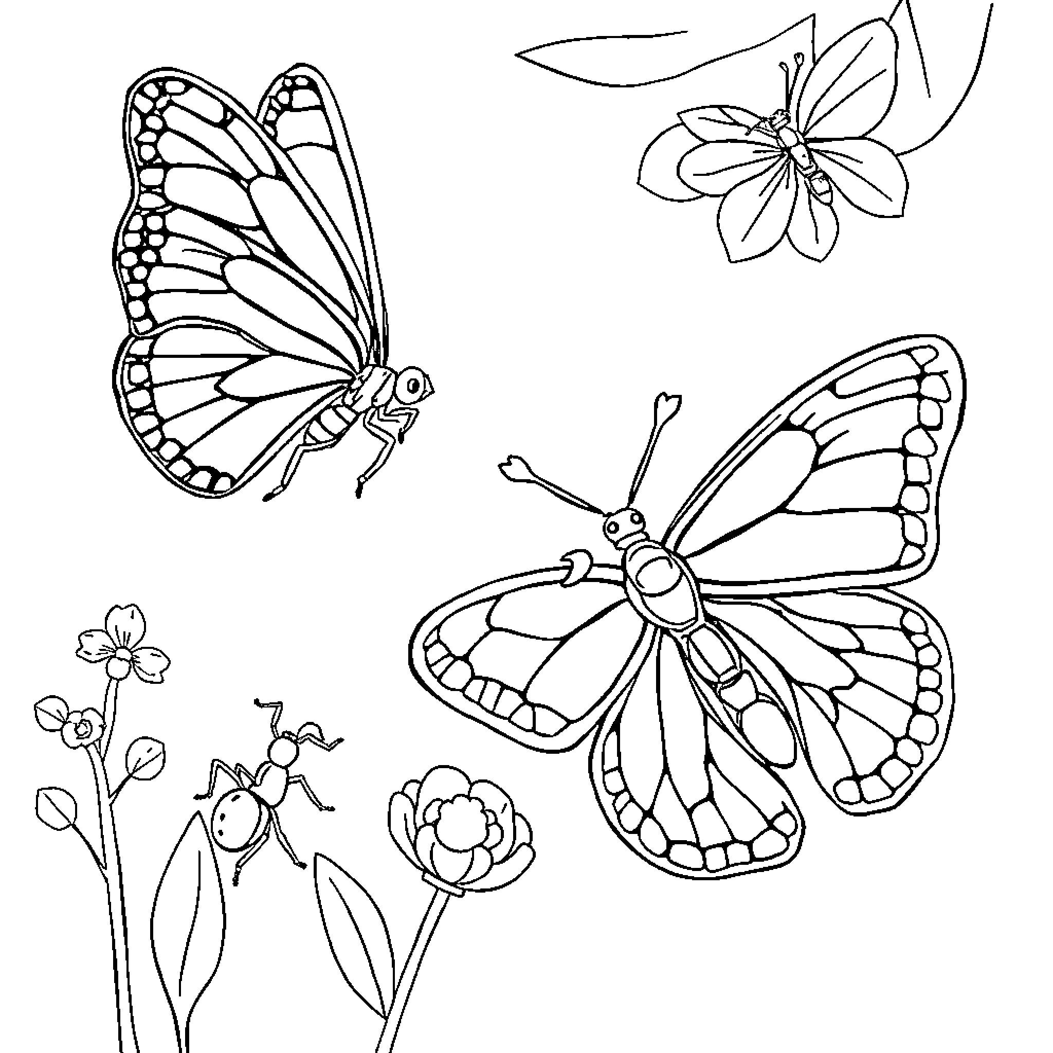 Insects with detailed wings and flowers Coloring Page (free black-and-white line drawing printable PDF for all, from beginners to advanced learners, including children, teens, adults, and seniors)