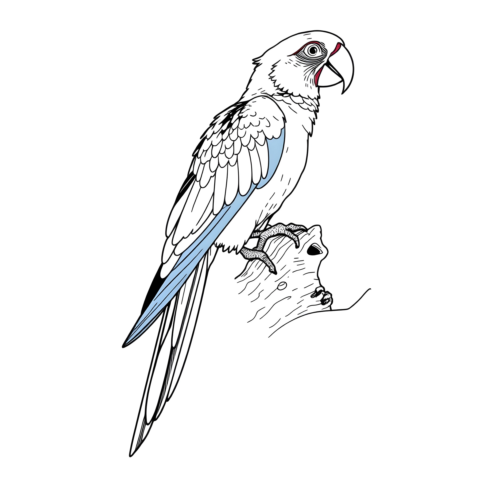 Parrot in flight on a tree branch Coloring Page (free black-and-white line drawing printable PDF for all, from beginners to advanced learners, including children, teens, adults, and seniors)