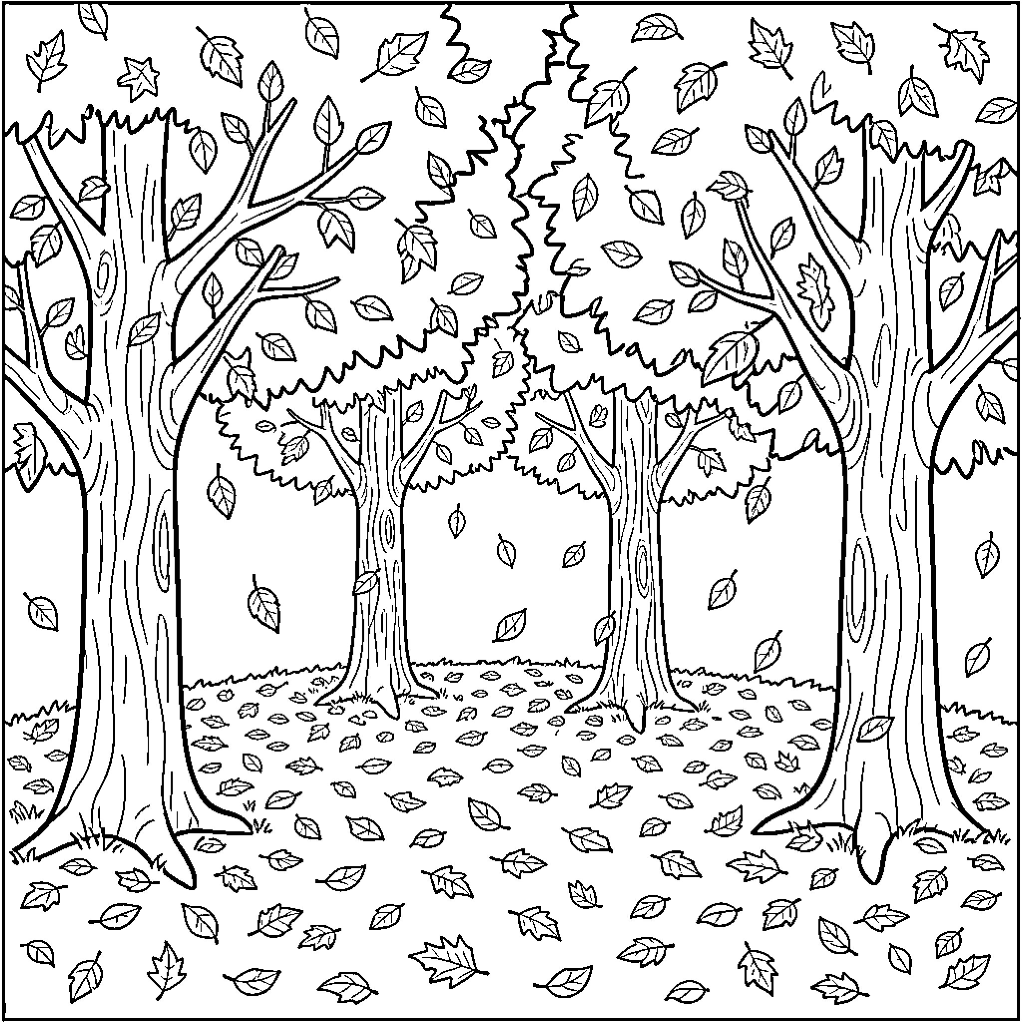 Tree leaves falling gently in a quiet forest Coloring Page (free black-and-white line drawing printable PDF for all, from beginners to advanced learners, including children, teens, adults, and seniors)