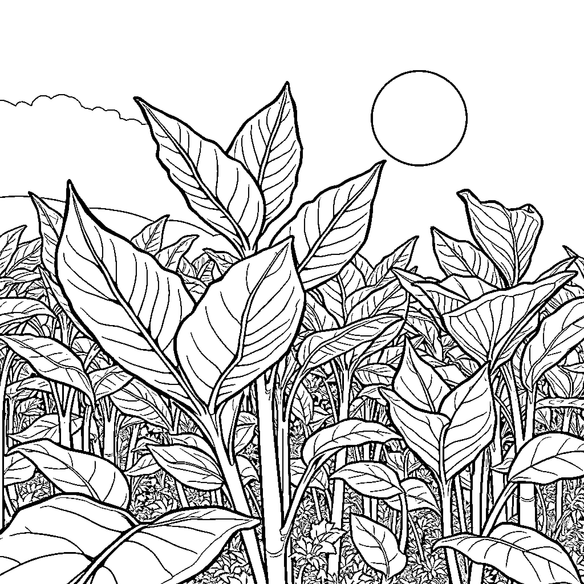 Tobacco plants amidst lush foliage under the sun Coloring Page (free black-and-white line drawing printable PDF for all, from beginners to advanced learners, including children, teens, adults, and seniors)
