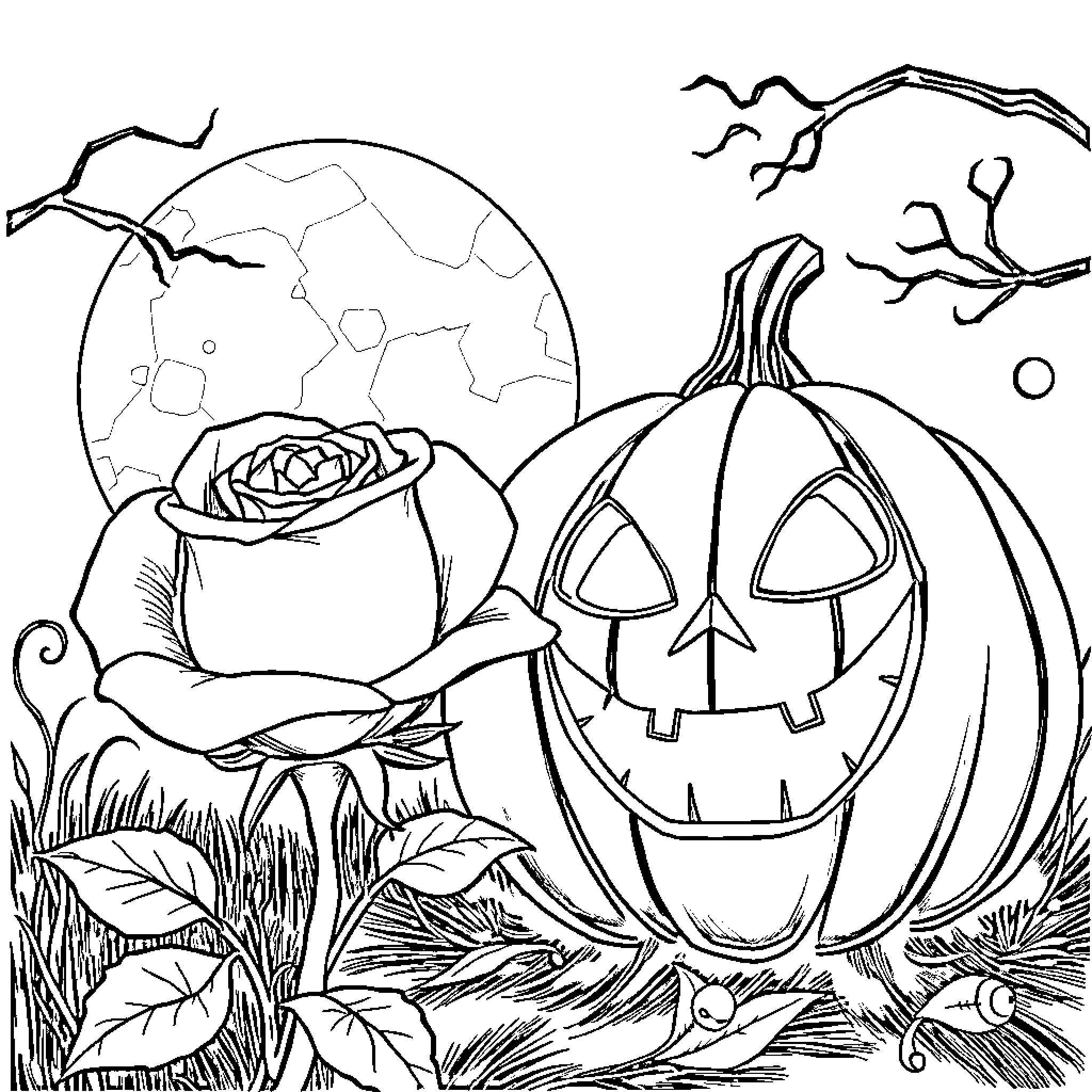 Rose Pumpkin Illuminated in Haunting Moonlight Coloring Page (free black-and-white line drawing printable PDF for all, from beginners to advanced learners, including children, teens, adults, and seniors)