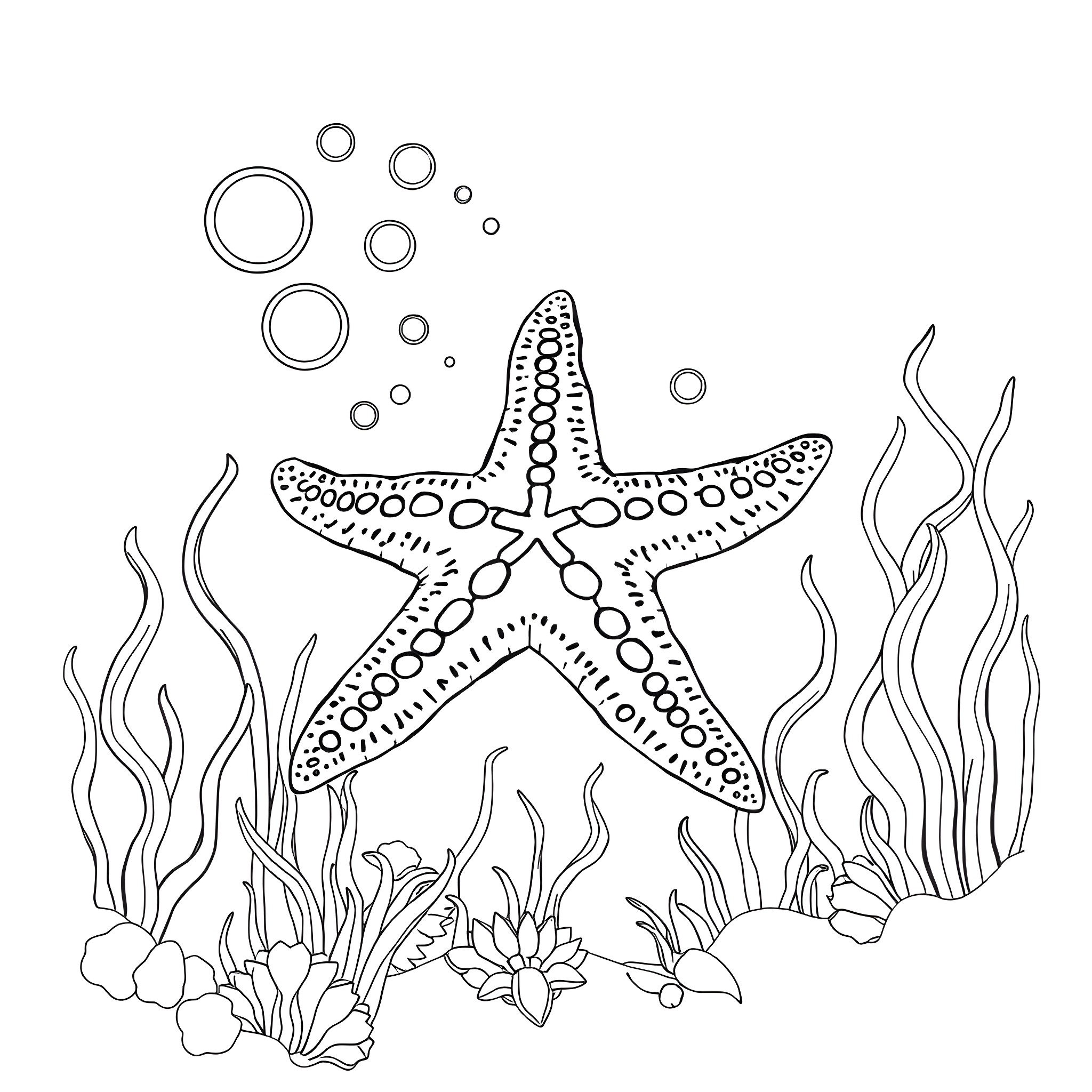 Starfish surrounded by underwater plants and bubbles Coloring Page (free black-and-white line drawing printable PDF for all, from beginners to advanced learners, including children, teens, adults, and seniors)