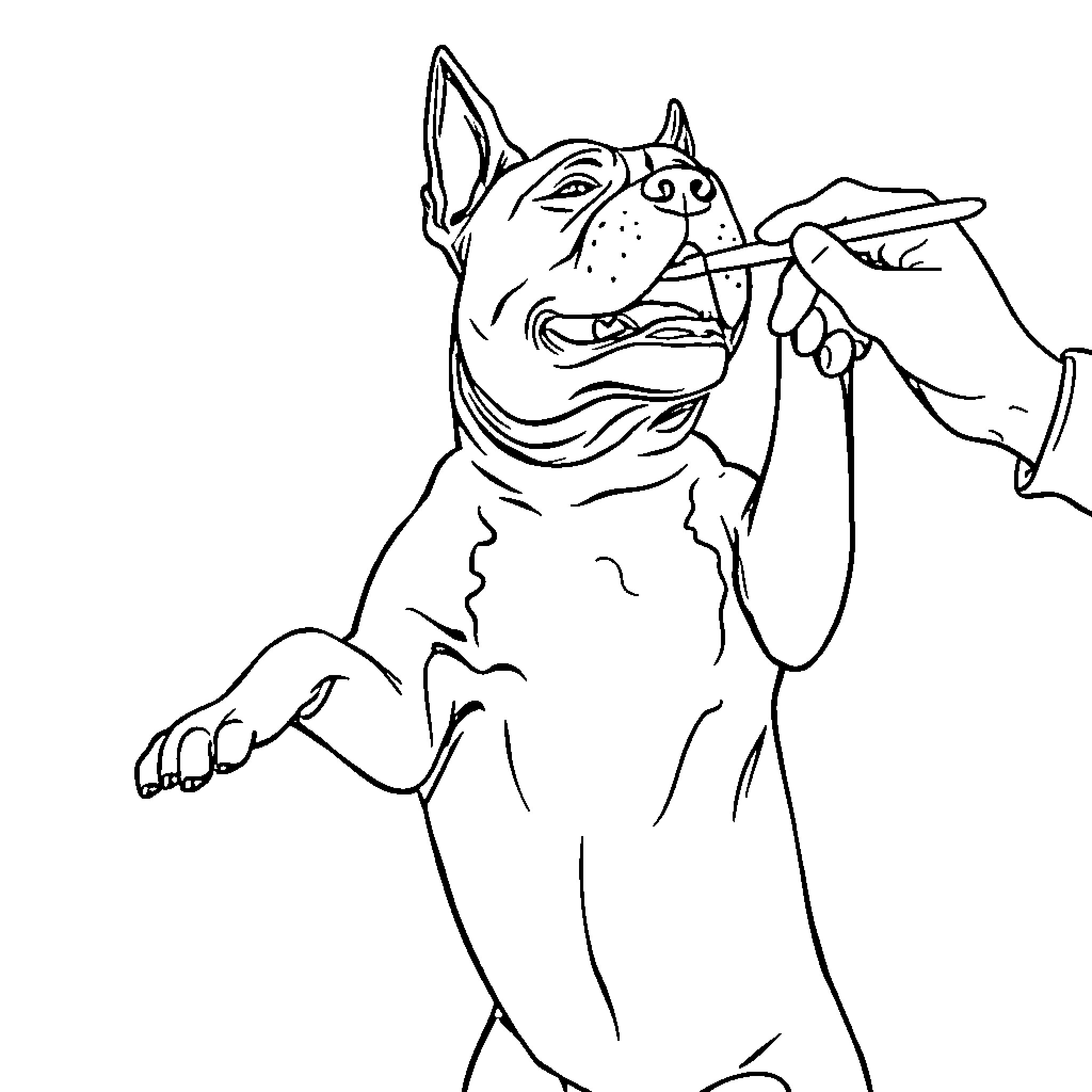 Pitbull being groomed by a human hand Coloring Page (free black-and-white line drawing printable PDF for all, from beginners to advanced learners, including children, teens, adults, and seniors)