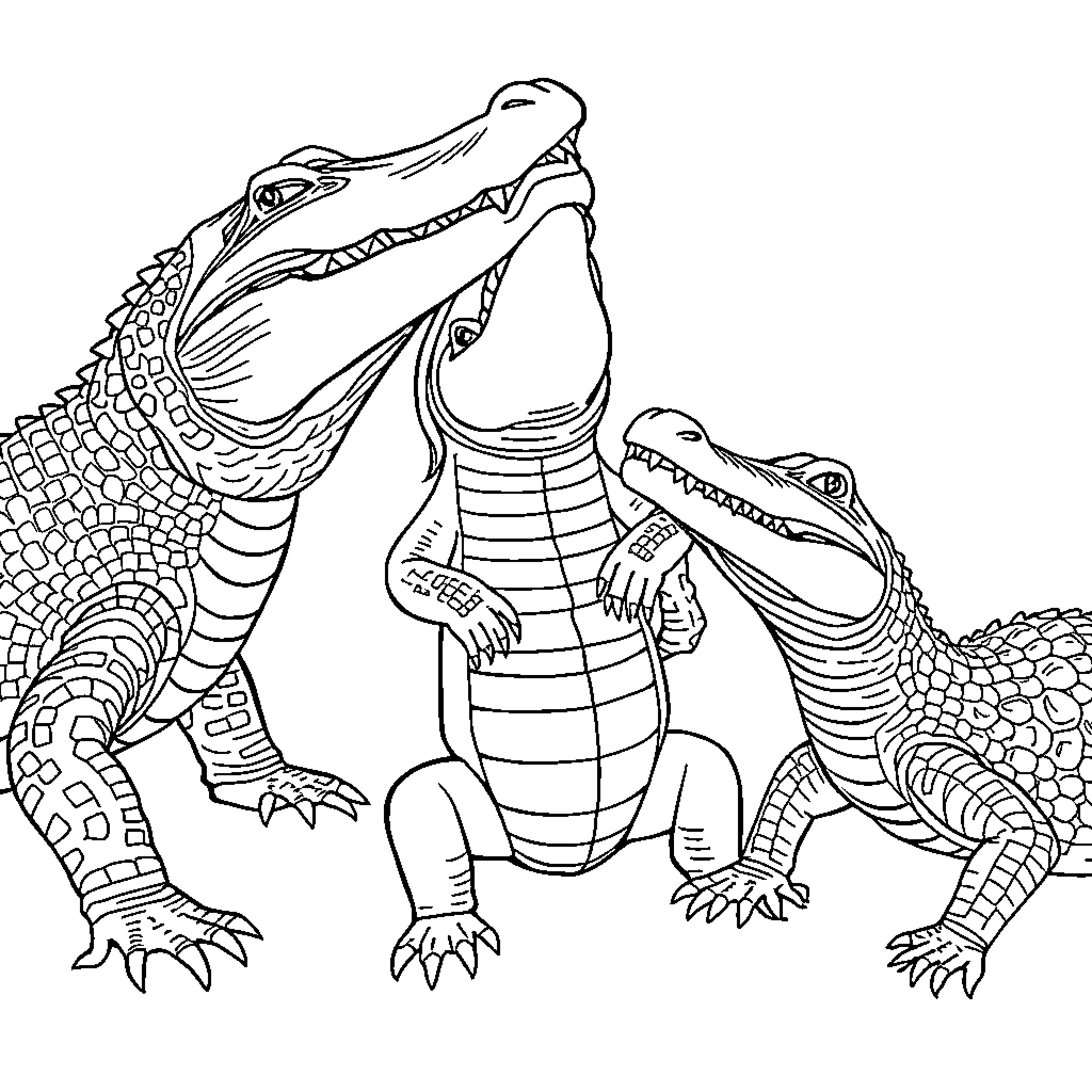 Alligators engaging in a confrontational display Coloring Page (free black-and-white line drawing printable PDF for all, from beginners to advanced learners, including children, teens, adults, and seniors)