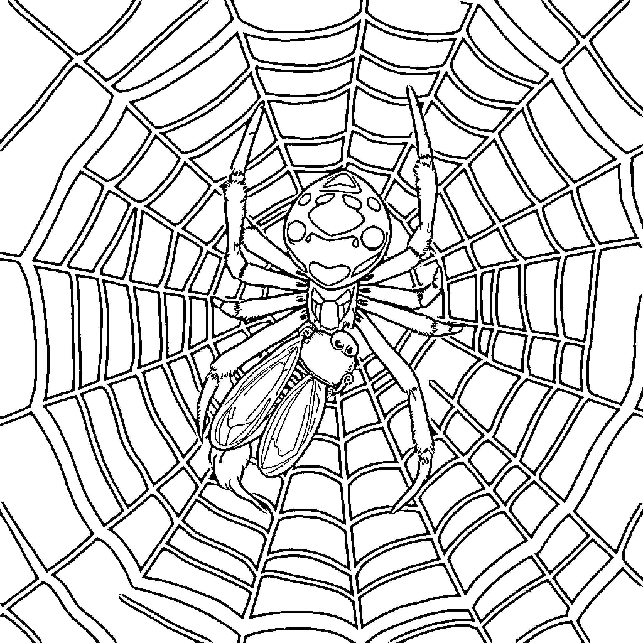 Spider weaving an intricate web Coloring Page (free black-and-white line drawing printable PDF for all, from beginners to advanced learners, including children, teens, adults, and seniors)
