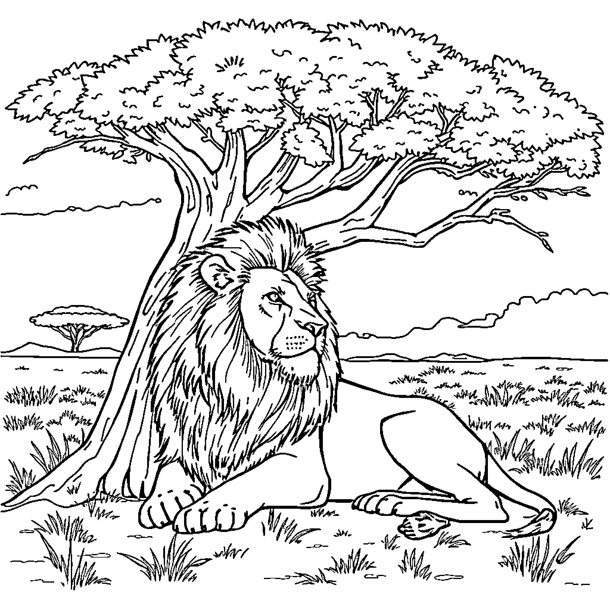 Lion resting in the savanna under a tree Coloring Page (free black-and-white line drawing printable PDF for all, from beginners to advanced learners, including children, teens, adults, and seniors)