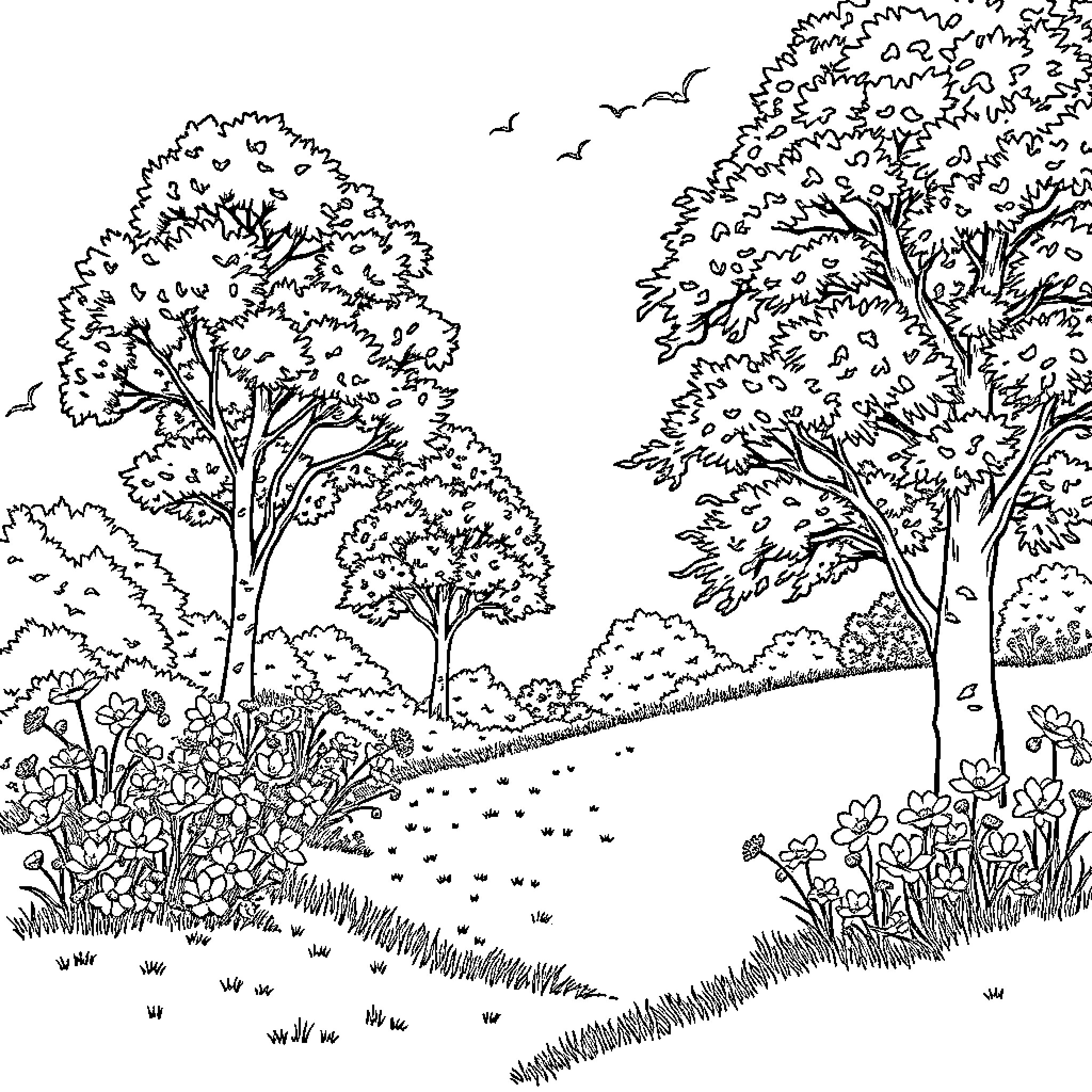 Nature landscape with trees and flowers Coloring Page (free black-and-white line drawing printable PDF for all, from beginners to advanced learners, including children, teens, adults, and seniors)