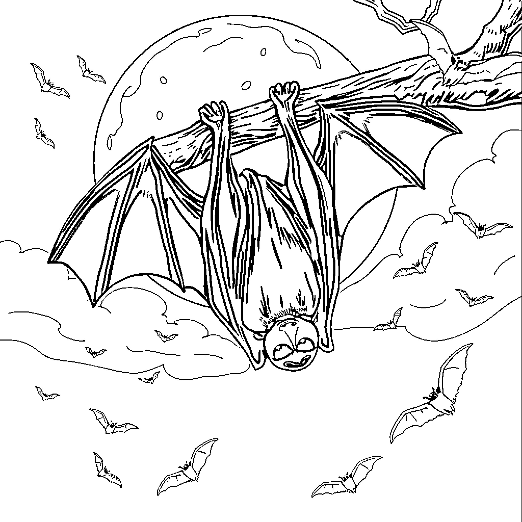 Bat soaring gracefully under the moonlit sky Coloring Page (free black-and-white line drawing printable PDF for all, from beginners to advanced learners, including children, teens, adults, and seniors)