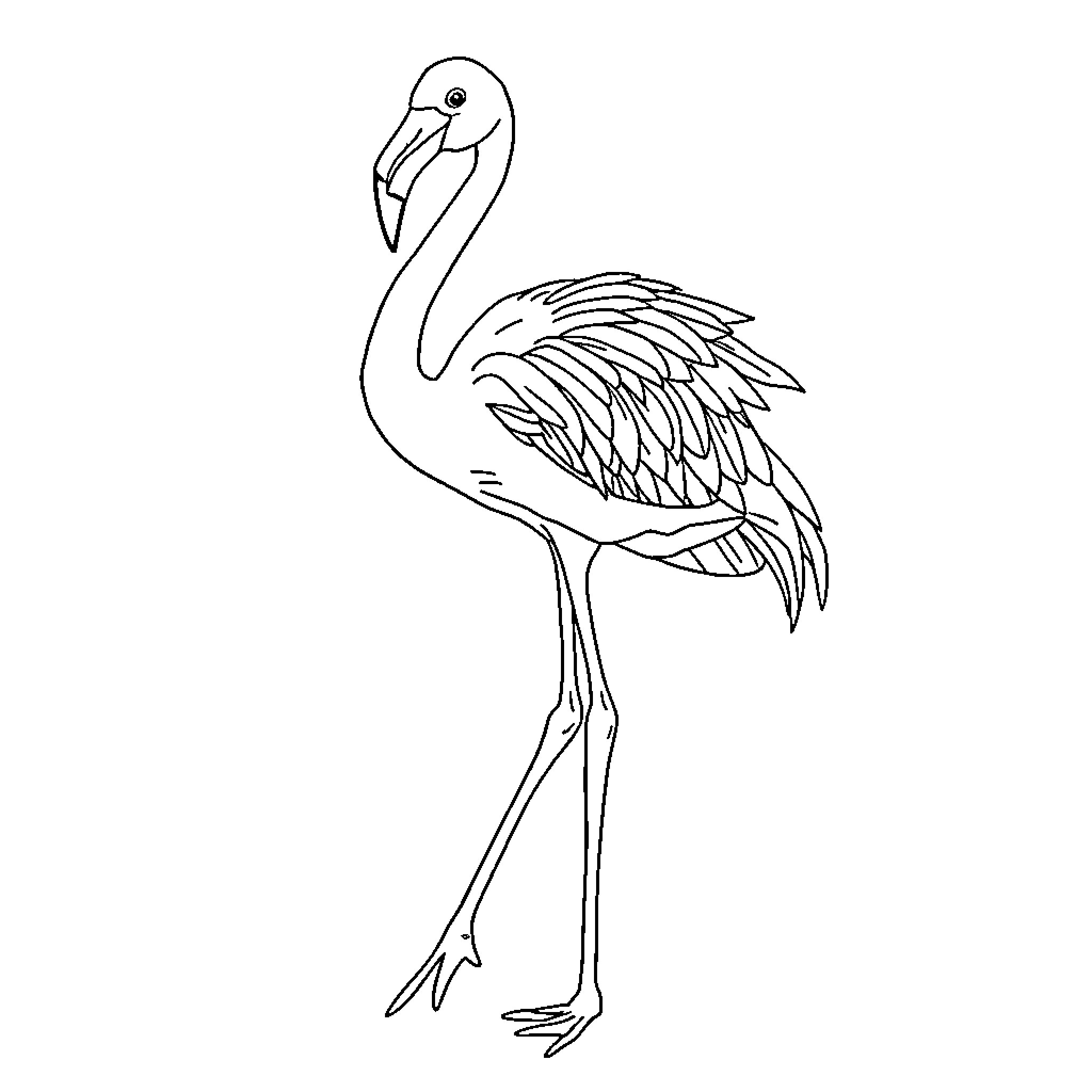 Flamingo standing elegantly in simple line art Coloring Page (free black-and-white line drawing printable PDF for all, from beginners to advanced learners, including children, teens, adults, and seniors)