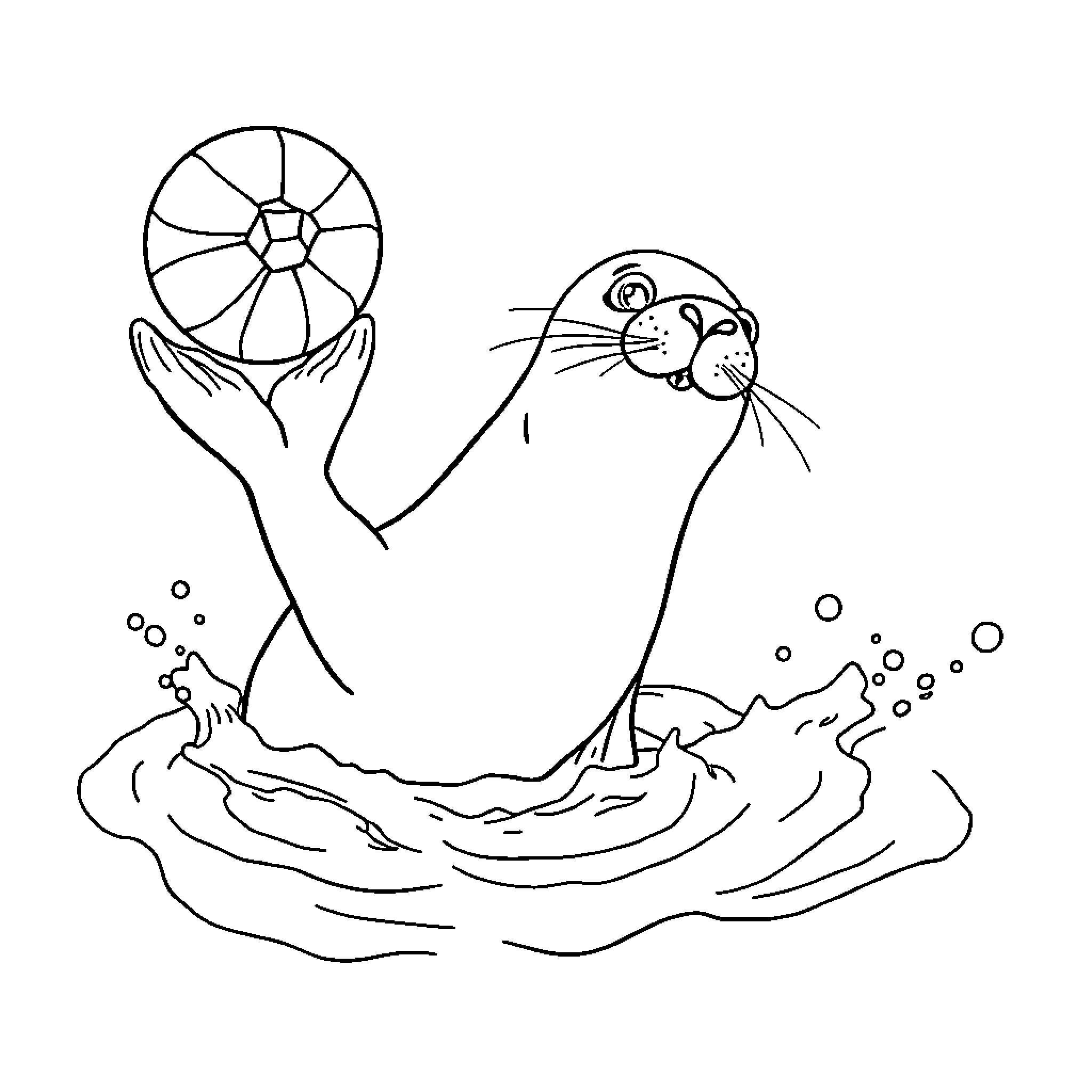 Seal balancing beach ball in the sea Coloring Page (free black-and-white line drawing printable PDF for all, from beginners to advanced learners, including children, teens, adults, and seniors)