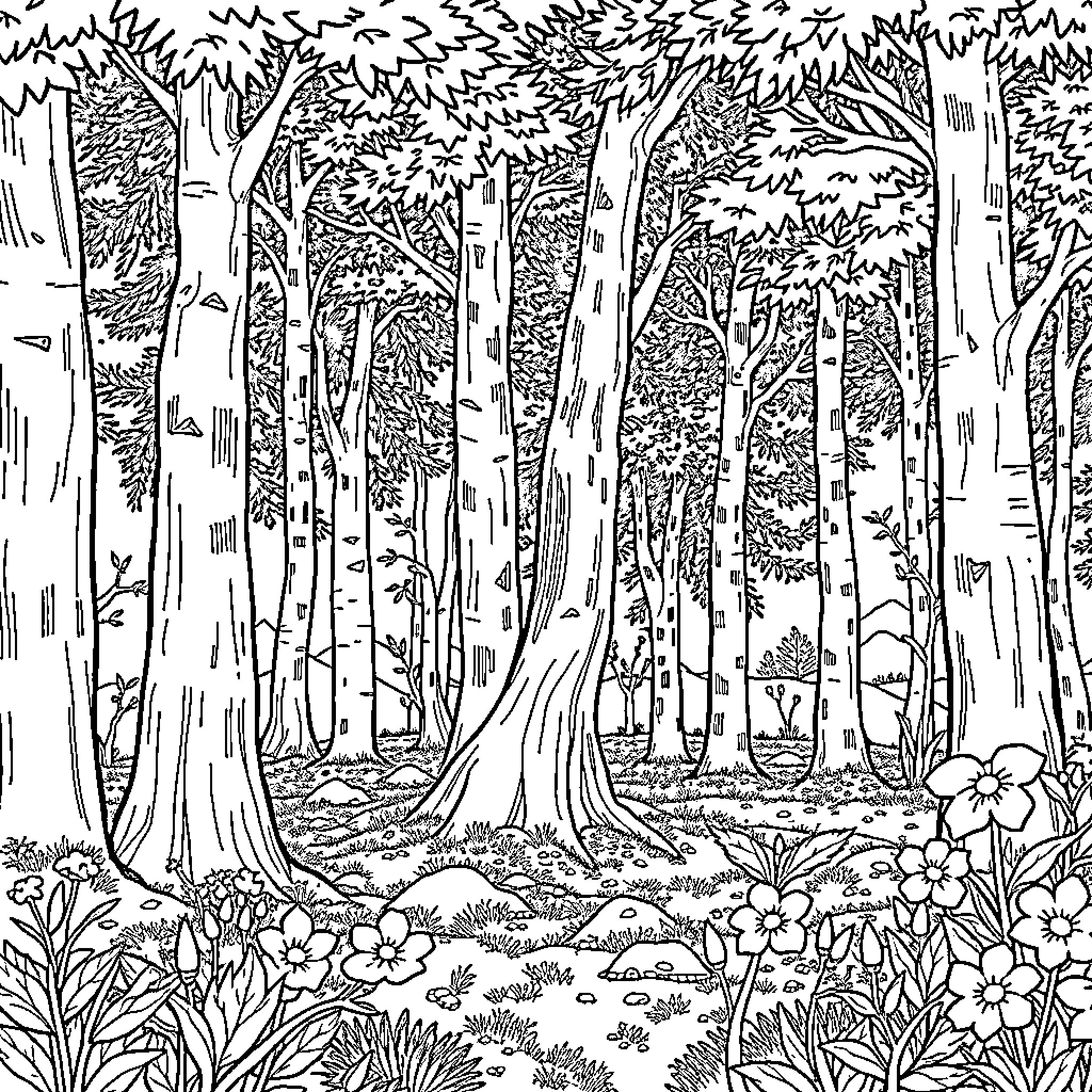 Forest filled with dense foliage and natural elements Coloring Page (free black-and-white line drawing printable PDF for all, from beginners to advanced learners, including children, teens, adults, and seniors)