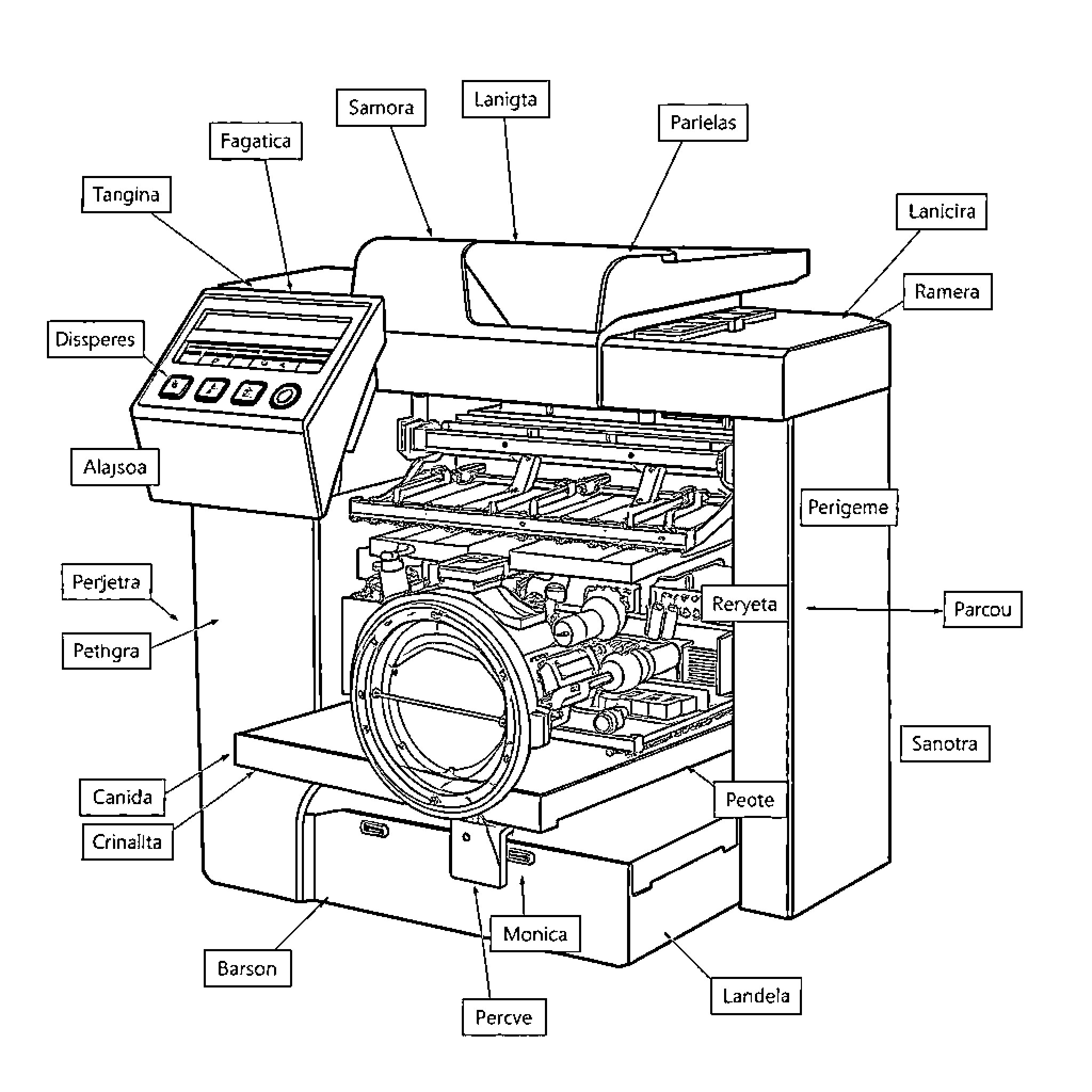 Aparato Reproductor Masculino Diagram of Internal Mechanisms Coloring Page (free black-and-white line drawing printable PDF for all, from beginners to advanced learners, including children, teens, adults, and seniors)