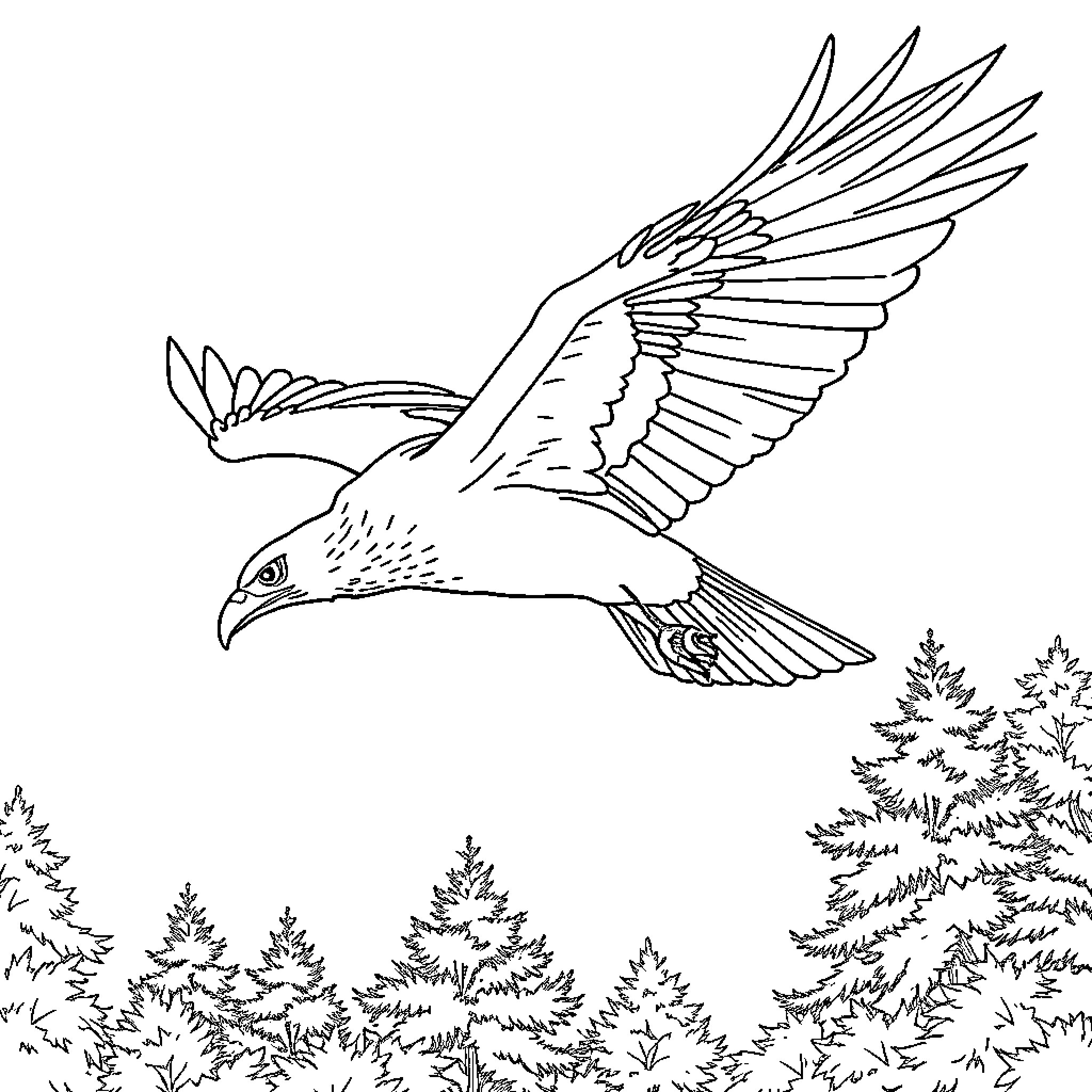 Raptor soaring gracefully over a forest landscape Coloring Page (free black-and-white line drawing printable PDF for all, from beginners to advanced learners, including children, teens, adults, and seniors)