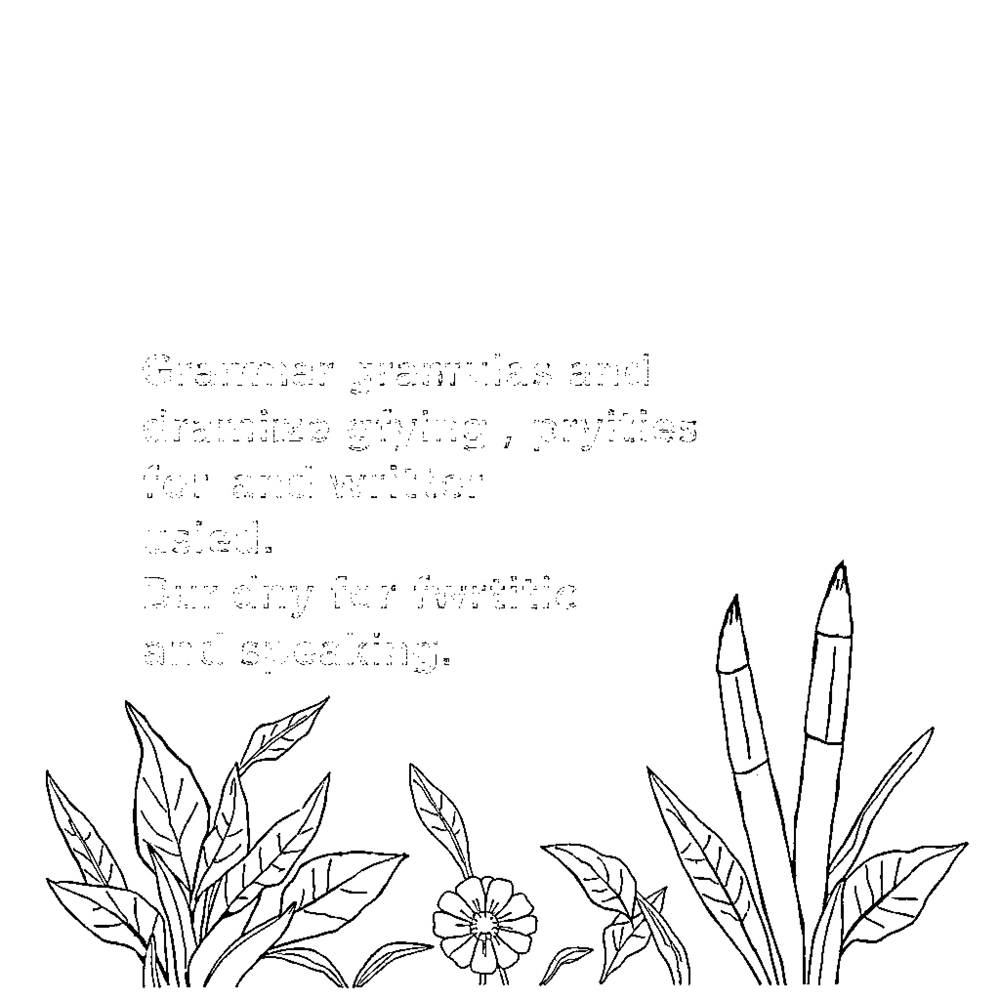 Grammar Flowers, Leaves, and Writing Instruments Coloring Page (free black-and-white line drawing printable PDF for all, from beginners to advanced learners, including children, teens, adults, and seniors)