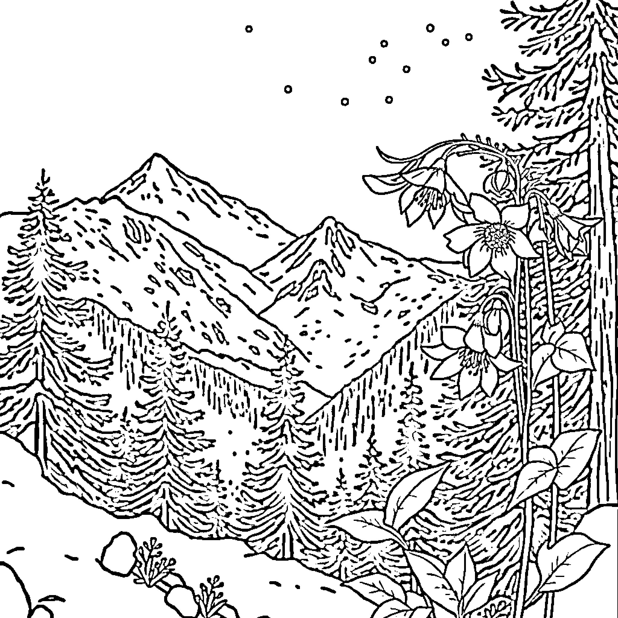 Hellebore flowers blooming in the mountainous landscape Coloring Page (free black-and-white line drawing printable PDF for all, from beginners to advanced learners, including children, teens, adults, and seniors)