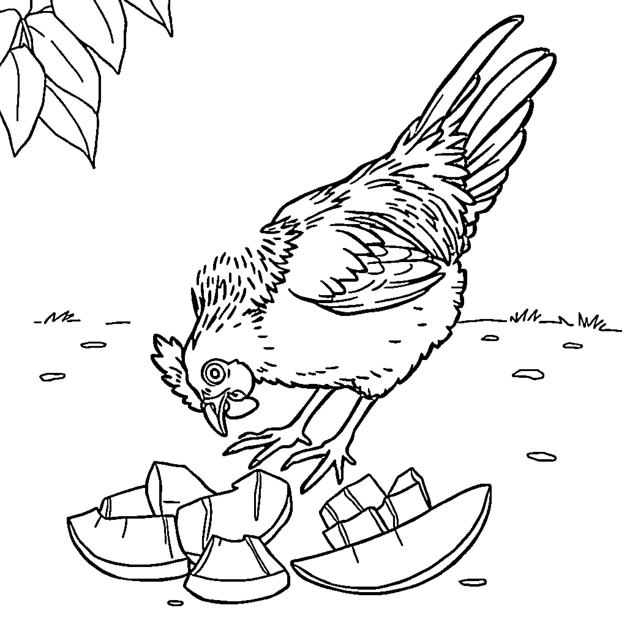 Chicken exploring broken eggshells on the ground Coloring Page (free black-and-white line drawing printable PDF for all, from beginners to advanced learners, including children, teens, adults, and seniors)