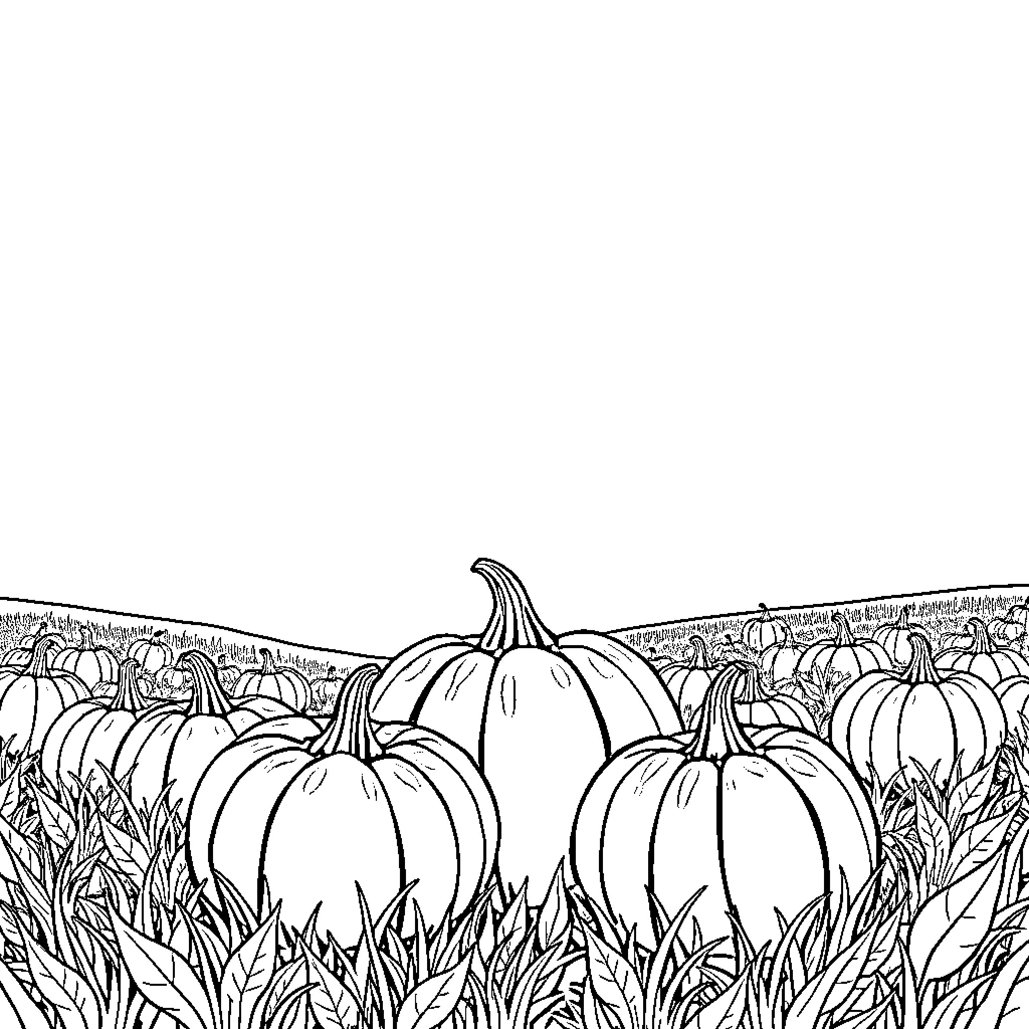 Pumpkins sitting in an autumn field Coloring Page (free black-and-white line drawing printable PDF for all, from beginners to advanced learners, including children, teens, adults, and seniors)