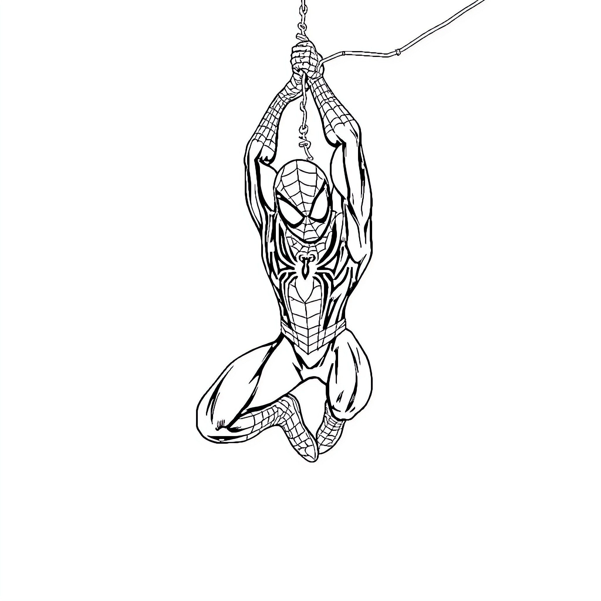 Spider-Man swinging on web in action pose Coloring Page (free black-and-white line drawing printable PDF for all, from beginners to advanced learners, including children, teens, adults, and seniors)