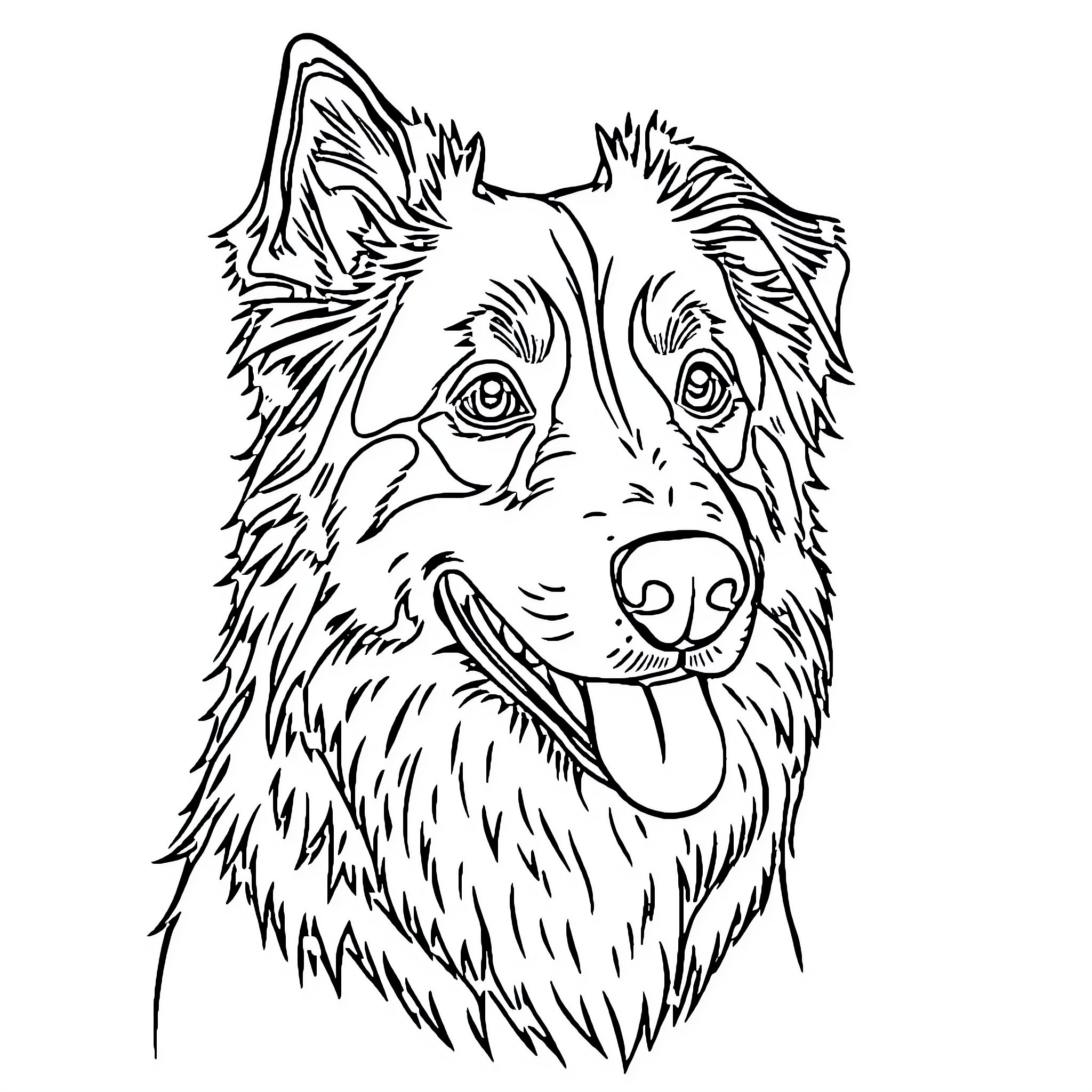 Australian Berger dog with playful expression Coloring Page (free black-and-white line drawing printable PDF for all, from beginners to advanced learners, including children, teens, adults, and seniors)