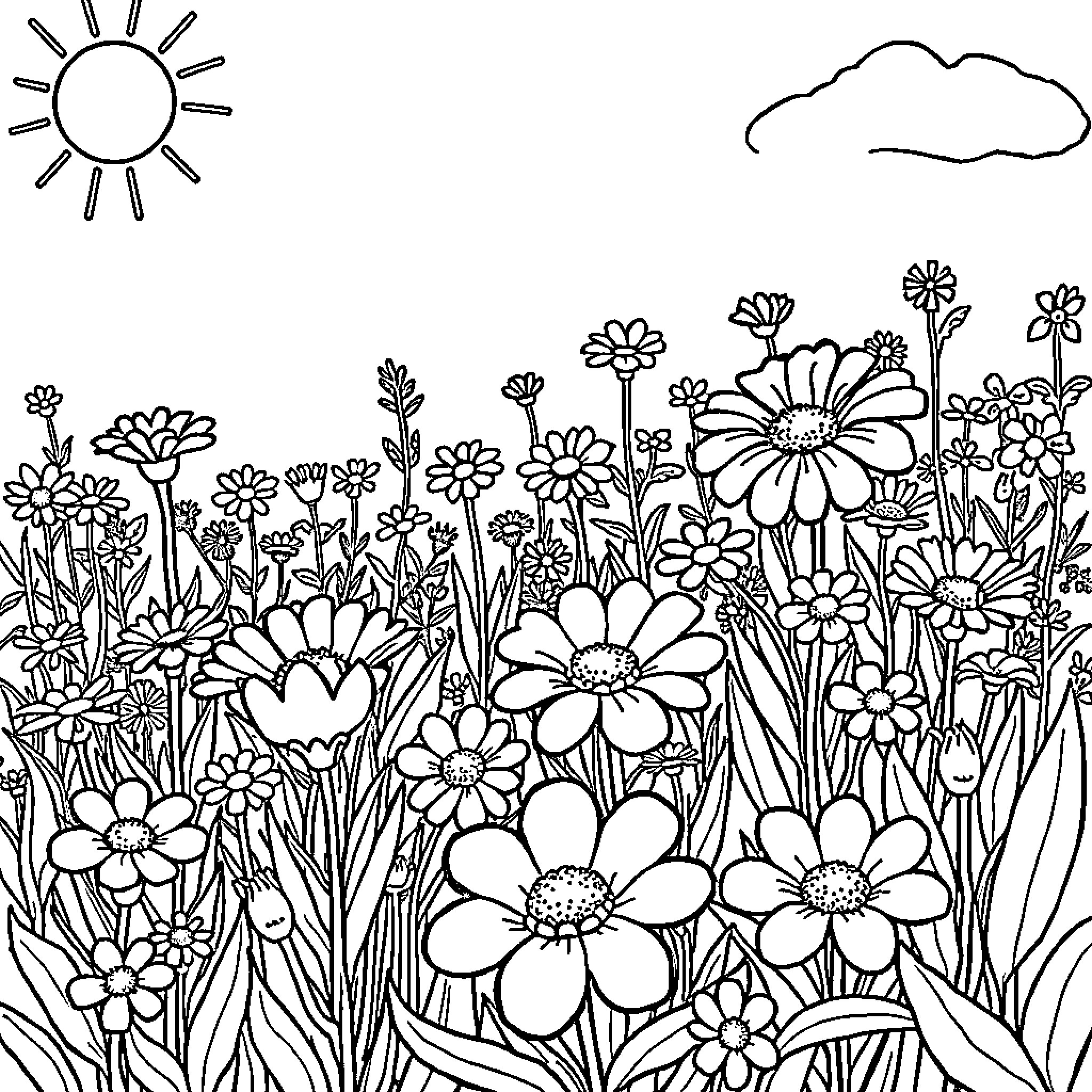 Flower garden with blooming flowers and sunlight Coloring Page (free black-and-white line drawing printable PDF for all, from beginners to advanced learners, including children, teens, adults, and seniors)