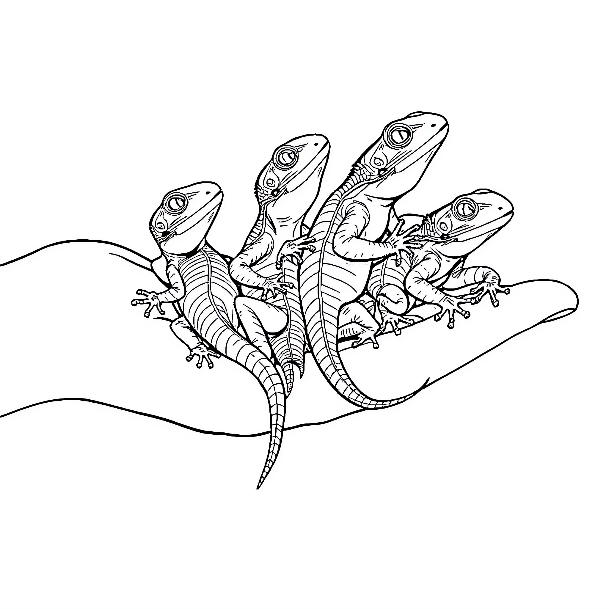Lizard Gathering on Branch Coloring Page (free black-and-white line drawing printable PDF for all, from beginners to advanced learners, including children, teens, adults, and seniors)