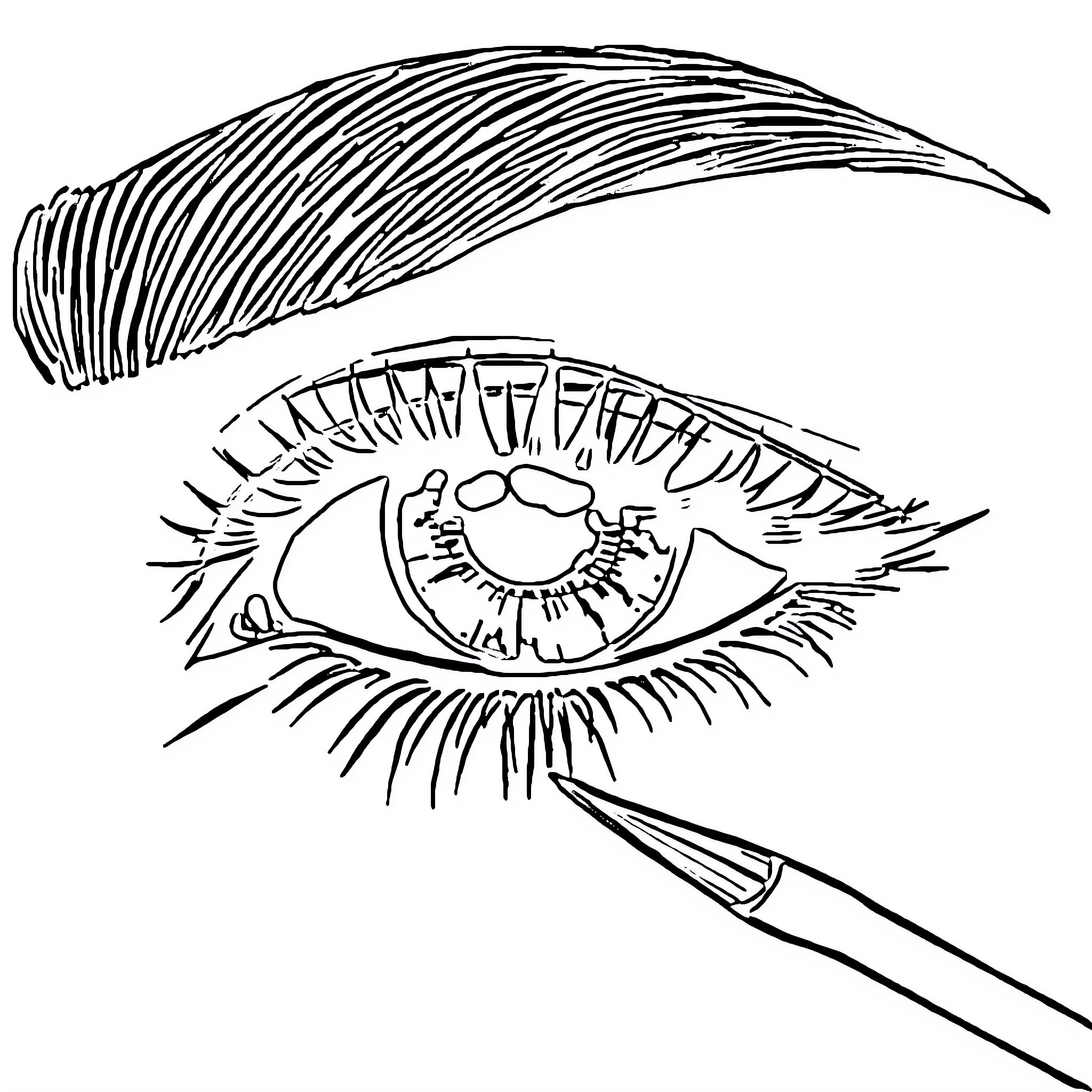 Eyebrow Tinting in Progress Coloring Page (free black-and-white line drawing printable PDF for all, from beginners to advanced learners, including children, teens, adults, and seniors)