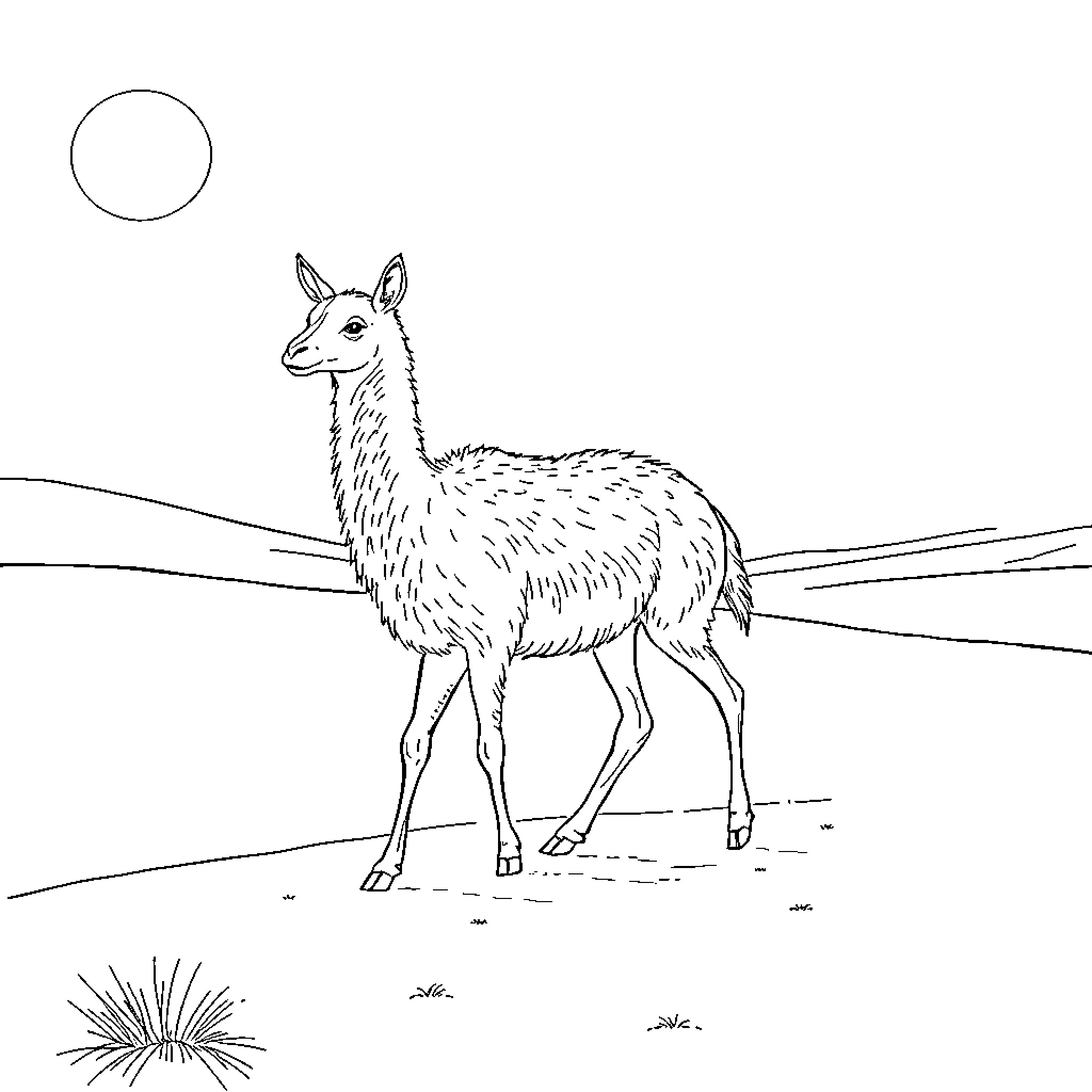 Camel standing in the desert landscape Coloring Page (free black-and-white line drawing printable PDF for all, from beginners to advanced learners, including children, teens, adults, and seniors)